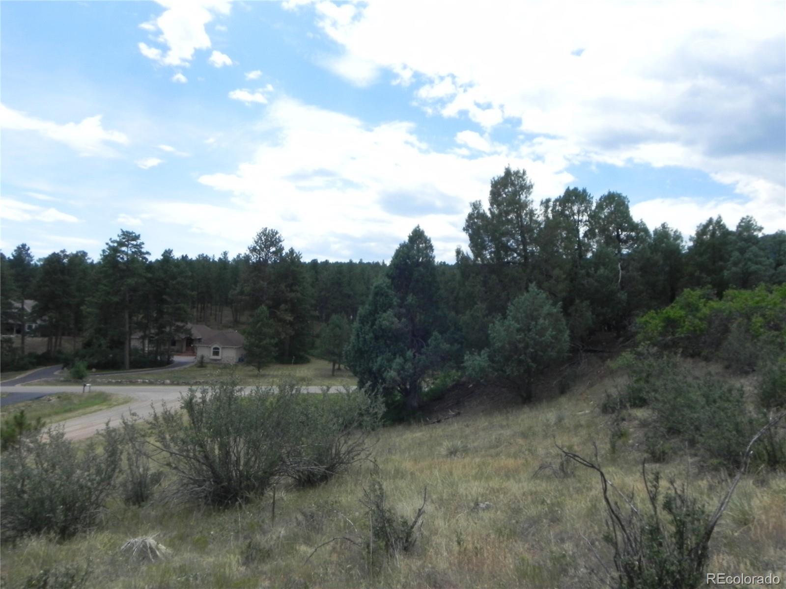 7749 Inca Road Larkspur, CO 80118 - Photo 20 of 49 a view of a dry yard with trees