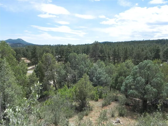 a view of a mountain range with trees in the background