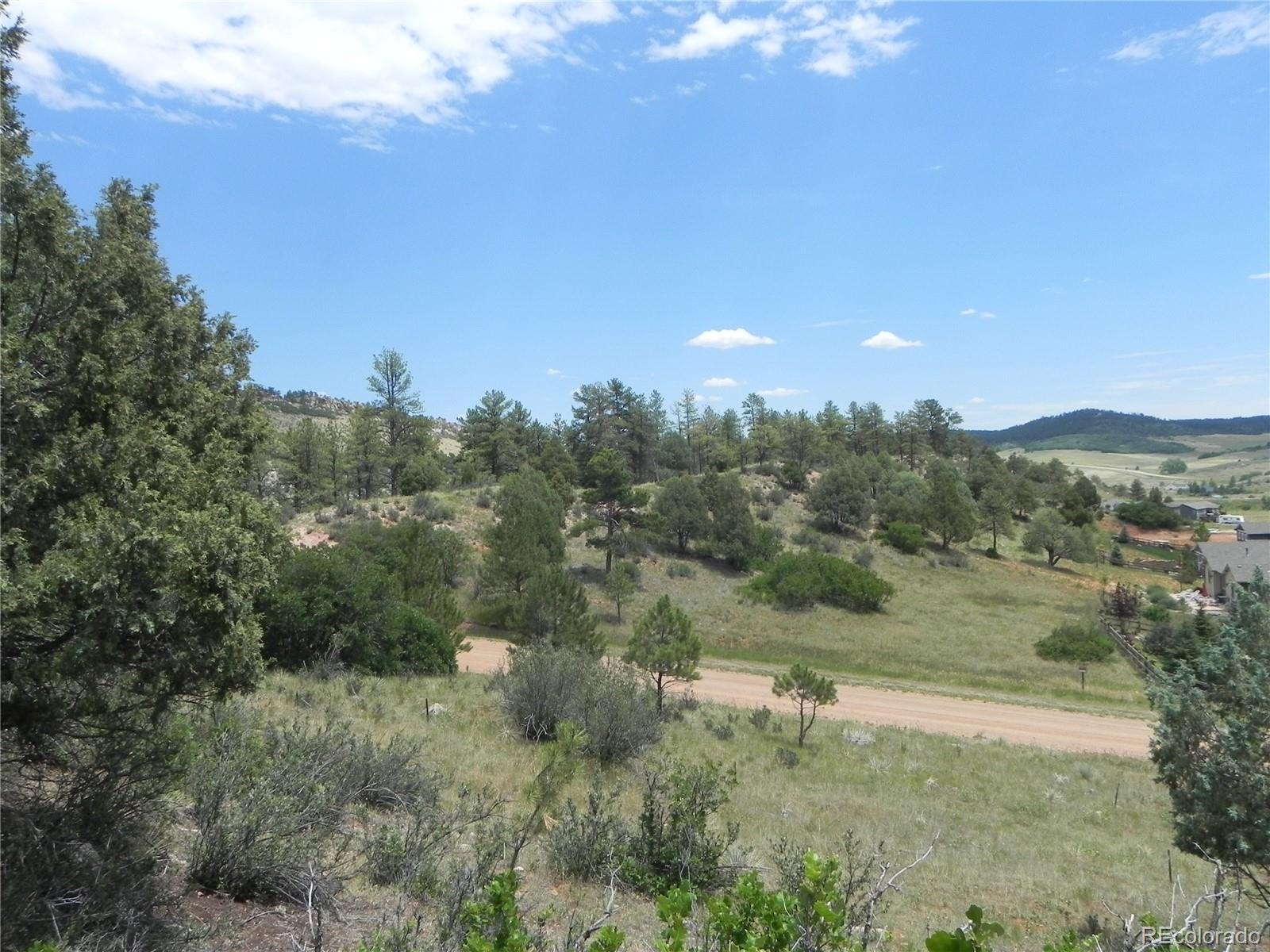 7749 Inca Road Larkspur, CO 80118 - Photo 32 of 49 a view of a field with trees in background