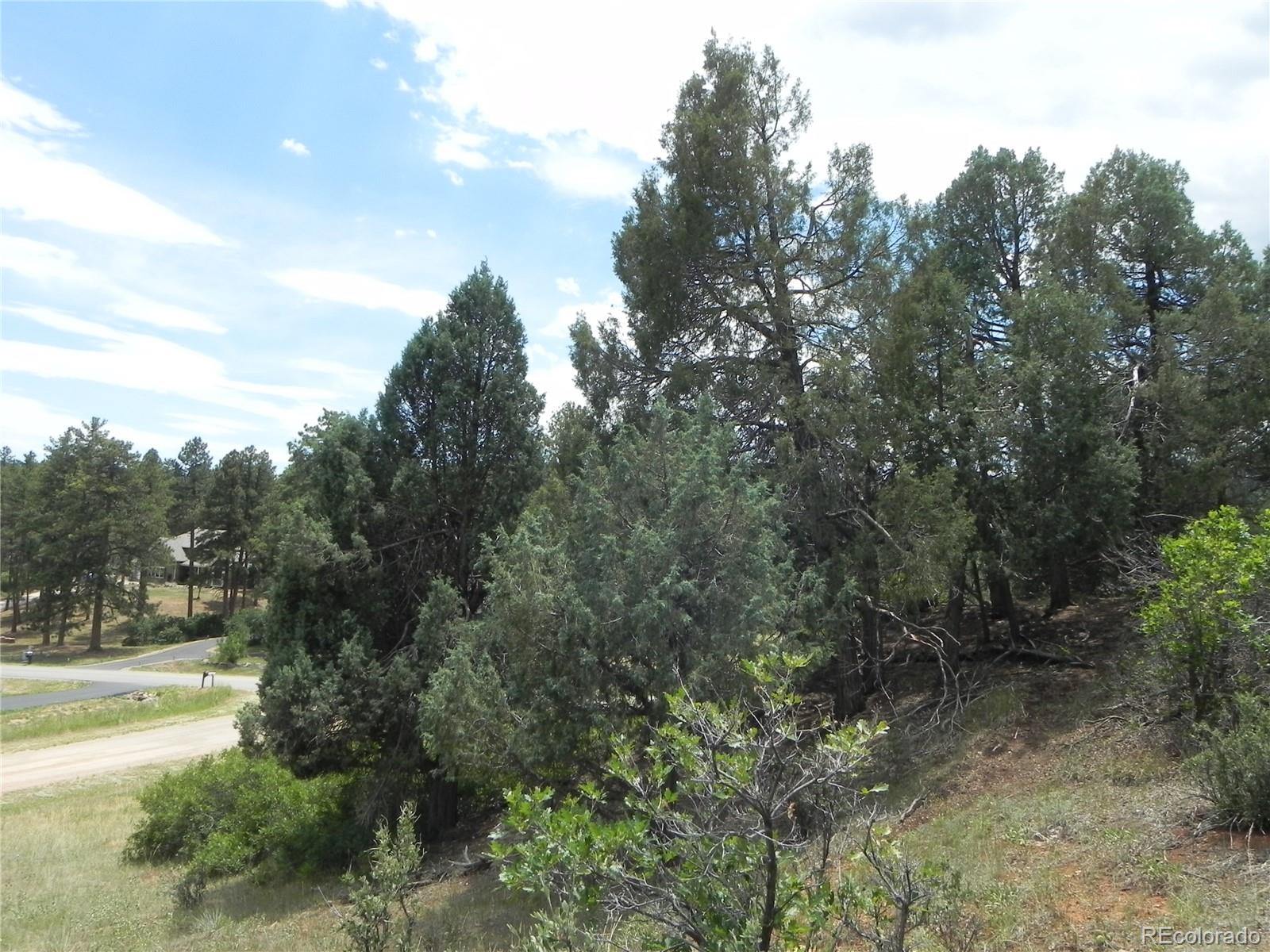 7749 Inca Road Larkspur, CO 80118 - Photo 33 of 49 a view of outdoor space and yard