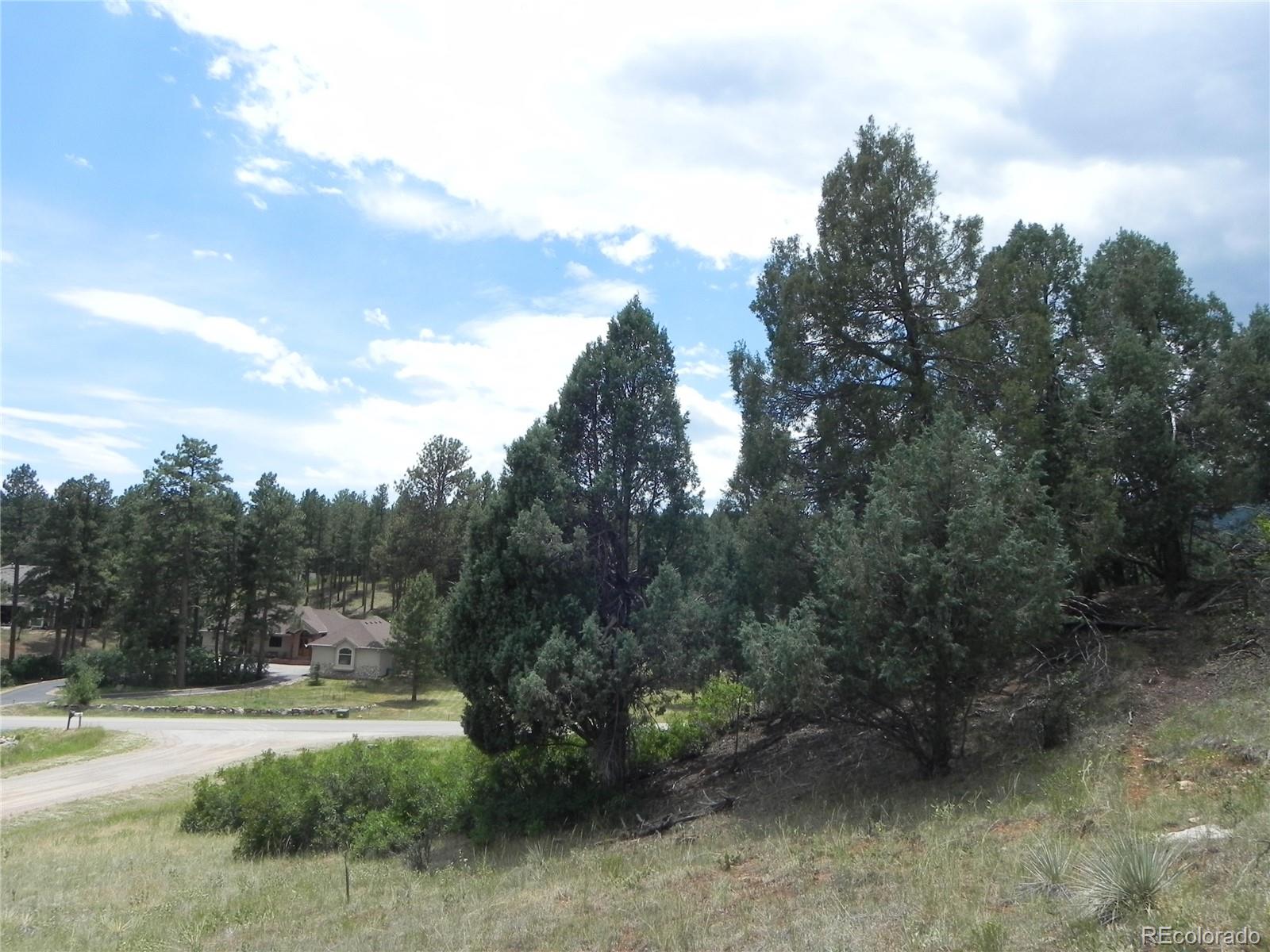 7749 Inca Road Larkspur, CO 80118 - Photo 34 of 49 a view of outdoor space and yard