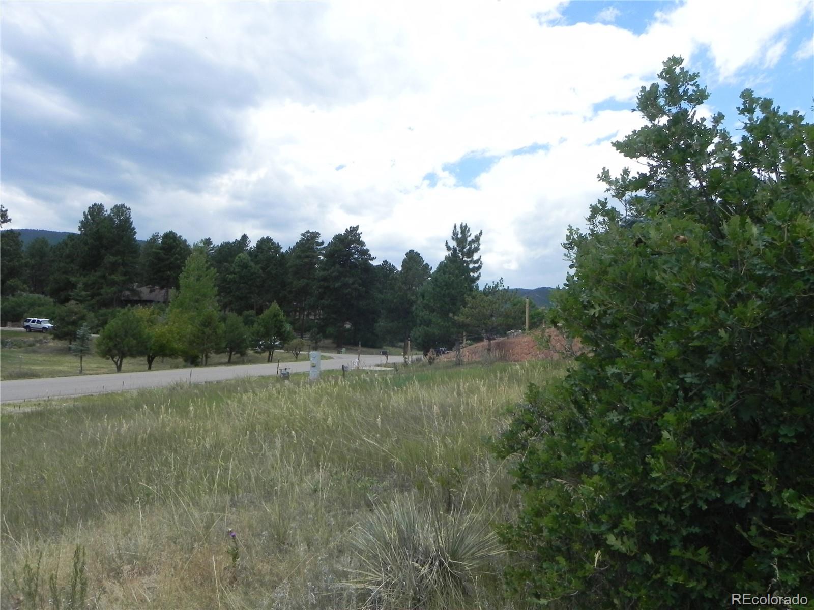 7749 Inca Road Larkspur, CO 80118 - Photo 43 of 49 a view of field with trees in the background