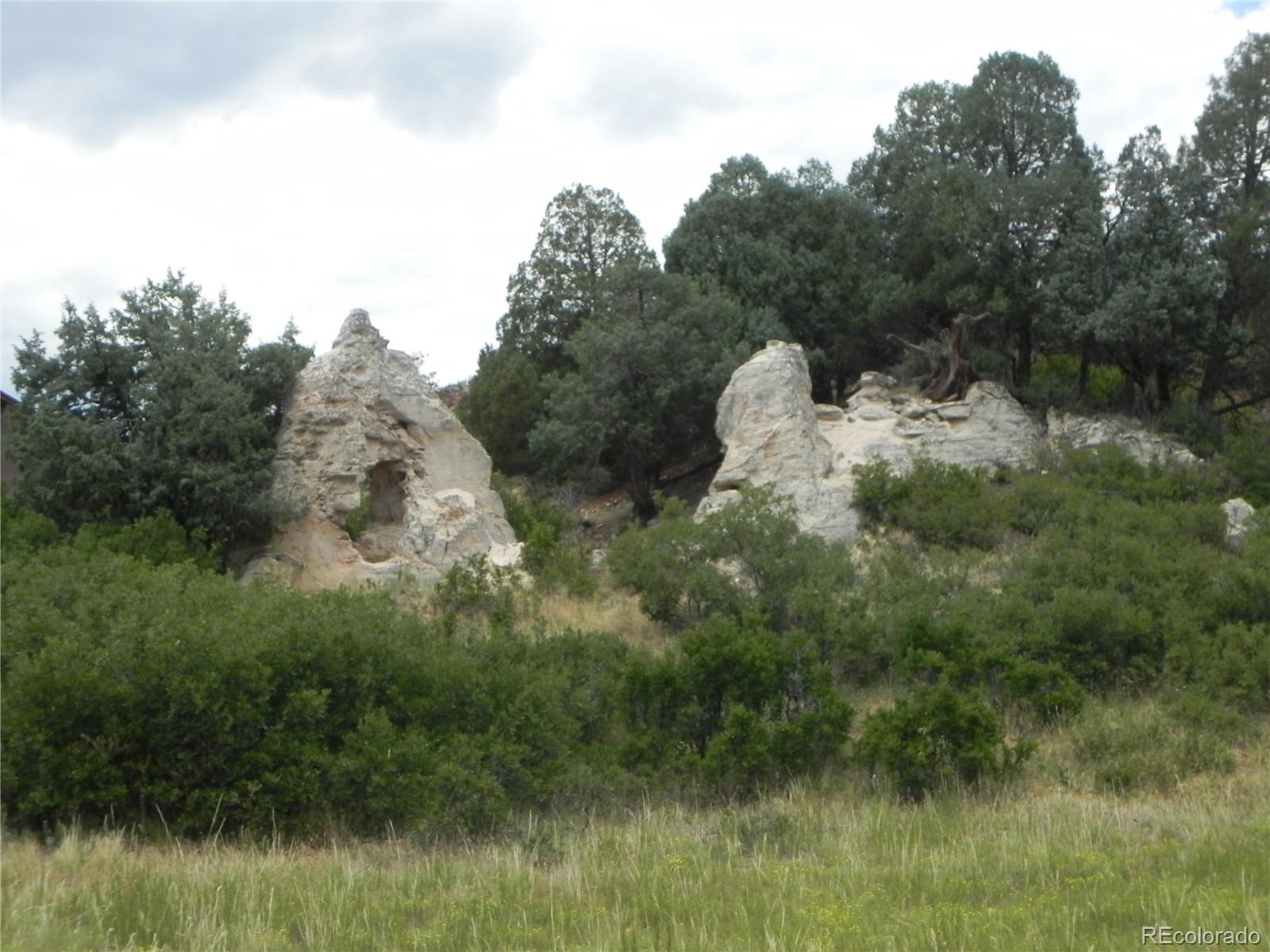 7749 Inca Road Larkspur, CO 80118 - Photo 6 of 49 a view of a lush green forest with lots of trees