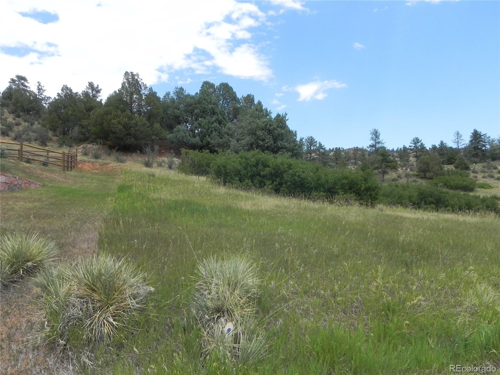 7749 Inca Road Larkspur, CO 80118 - Photo 8 of 49 a view of a lush green space with sea