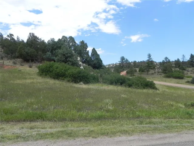 a view of a field with trees in background