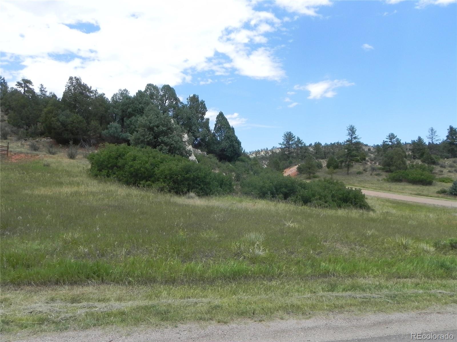 7749 Inca Road Larkspur, CO 80118 - Photo 9 of 49 a view of a field with trees in background