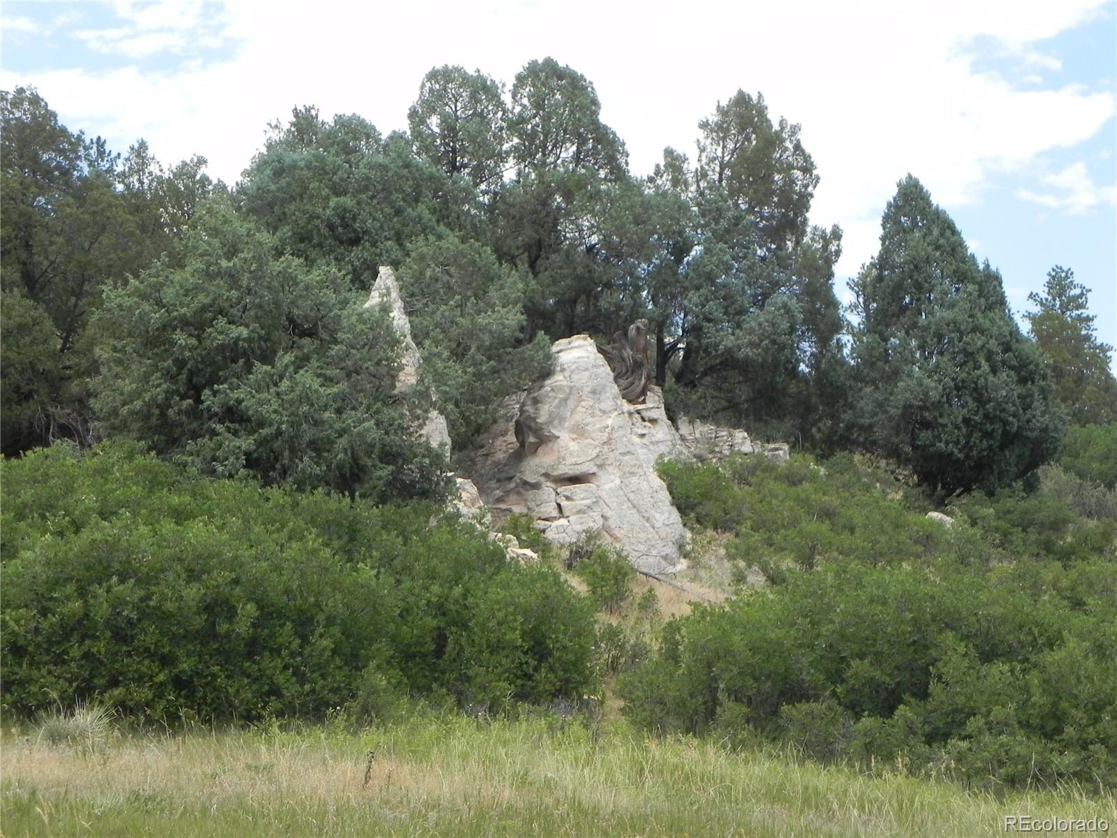7749 Inca Road Larkspur, CO 80118 - Photo 10 of 49 a view of a forest with a sink
