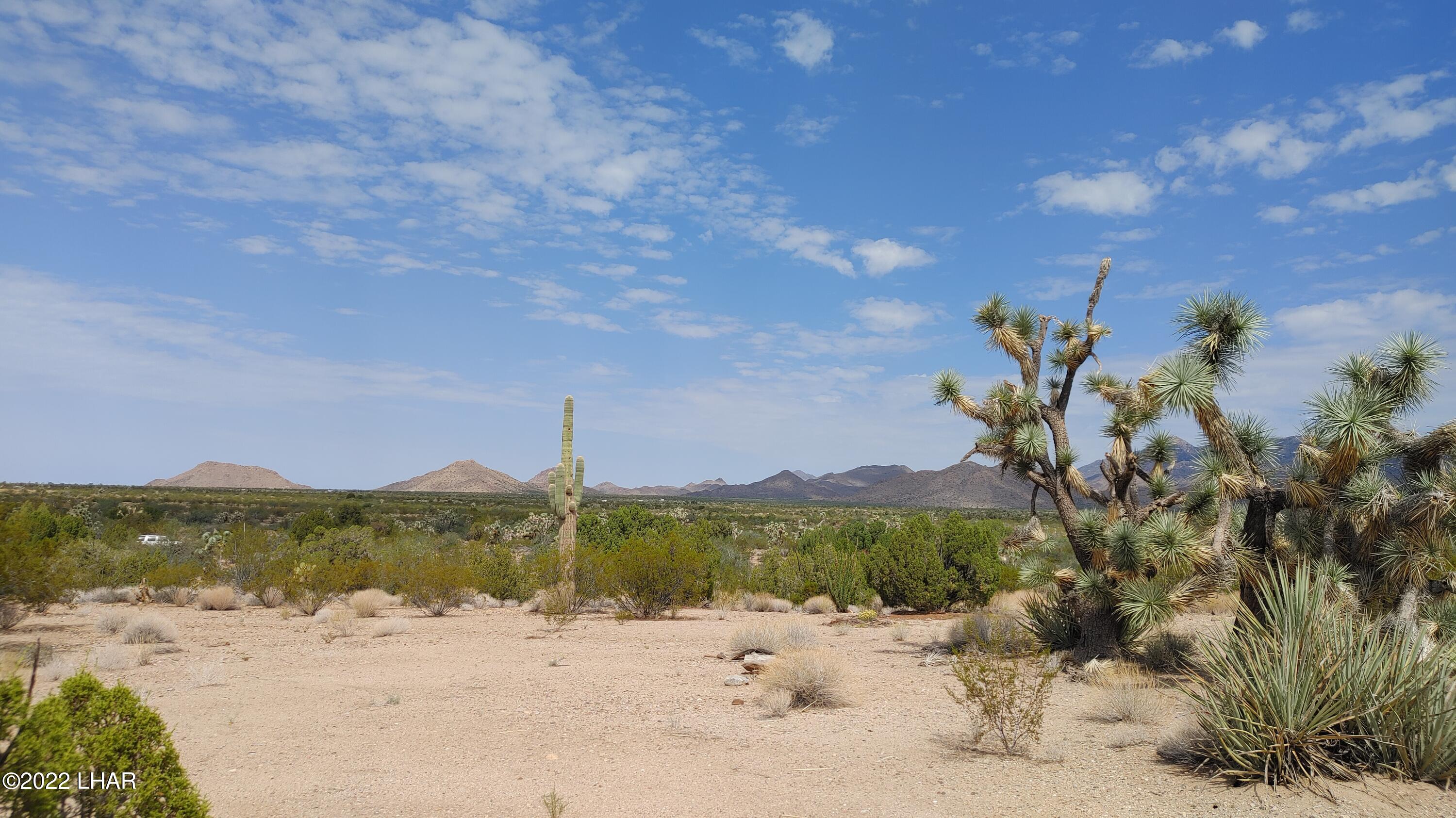2686 South Well Road Yucca, AZ 86438 - Photo 19 of 26 0927211102 1