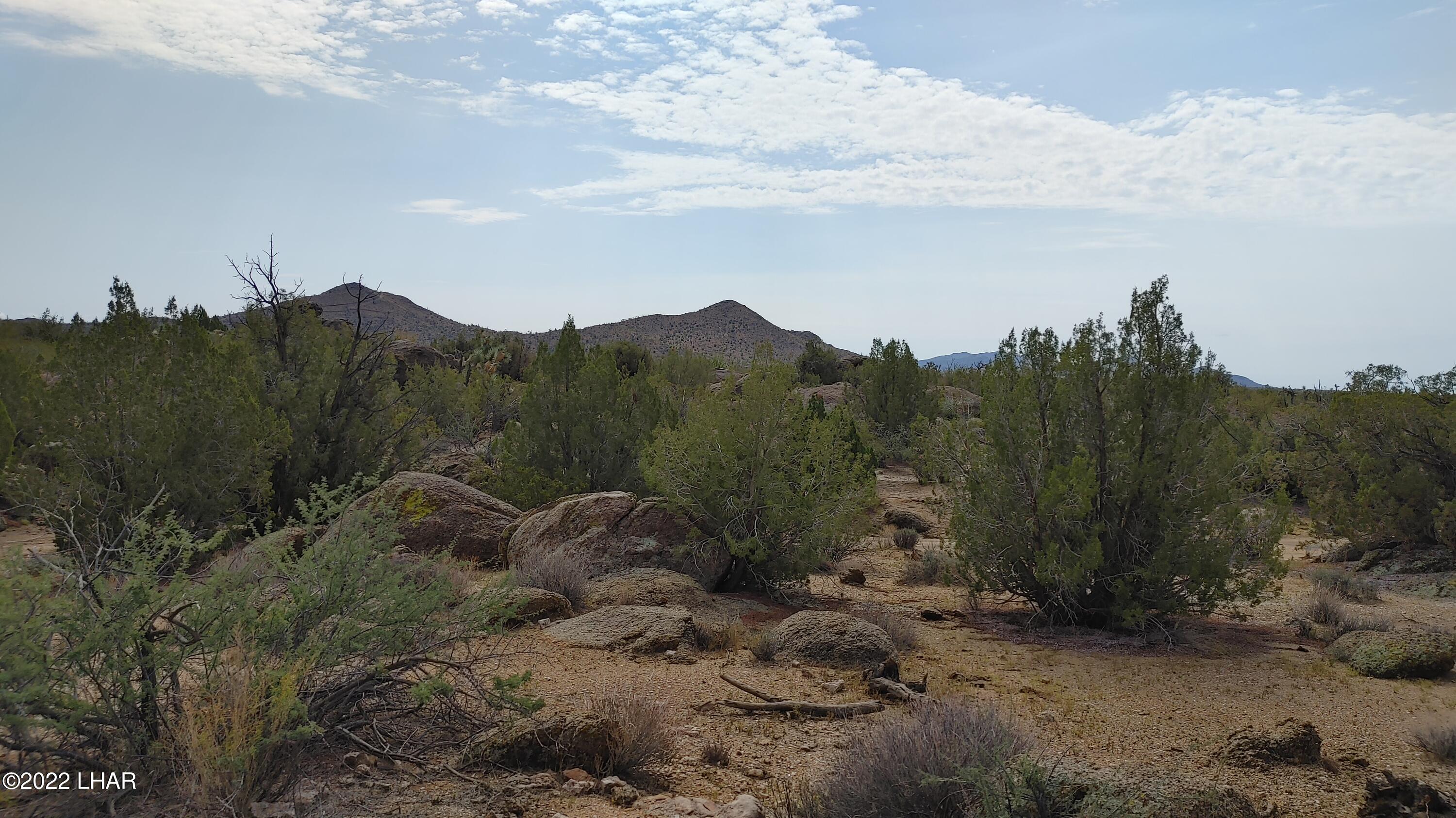 2686 South Well Road Yucca, AZ 86438 - Photo 2 of 26 Amazing Mountain Views