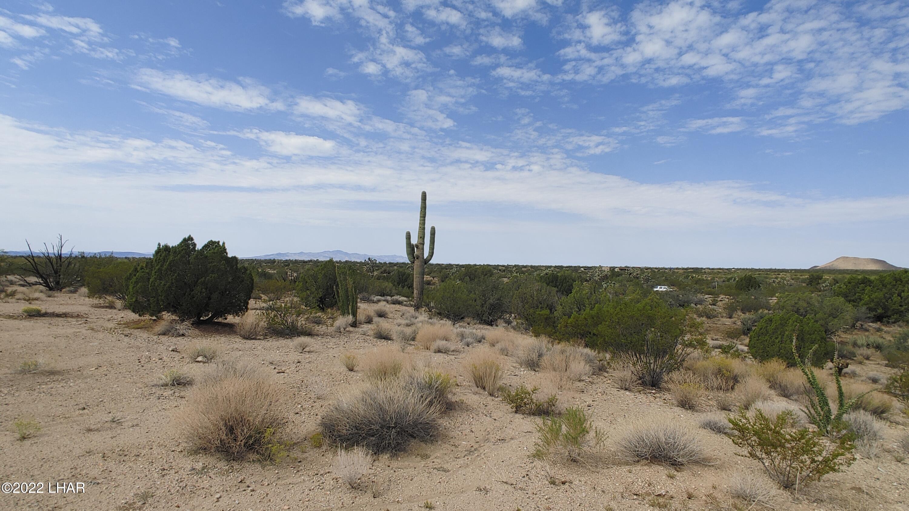 2686 South Well Road Yucca, AZ 86438 - Photo 21 of 26 0927211108b
