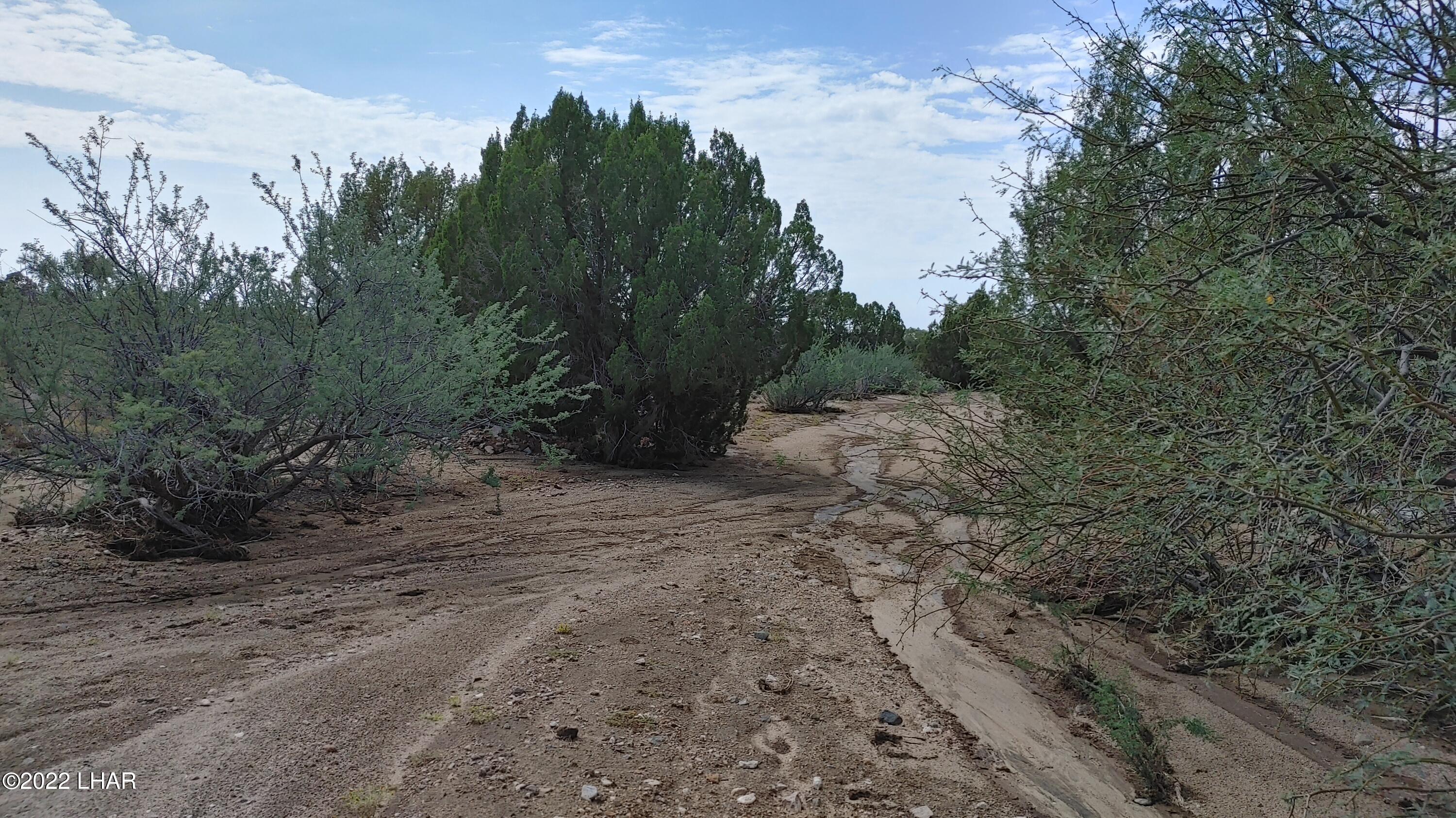 2686 South Well Road Yucca, AZ 86438 - Photo 24 of 26 0927211111_HDR