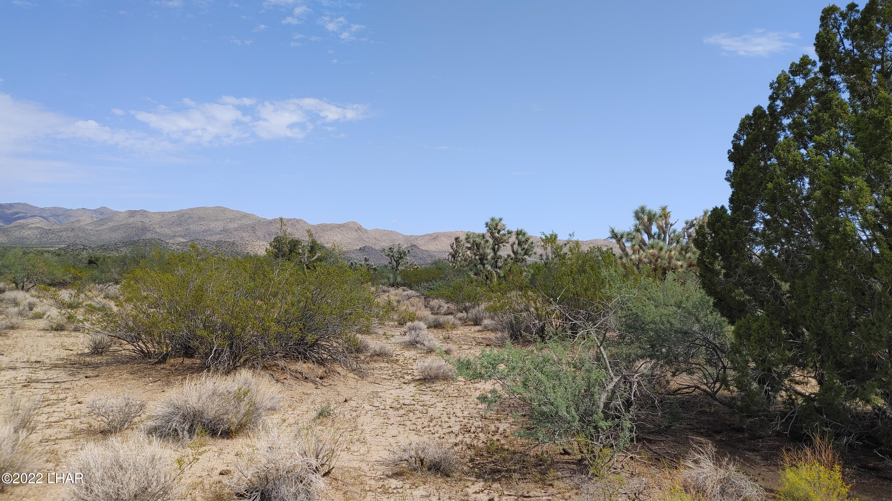 2686 South Well Road Yucca, AZ 86438 - Photo 26 of 26 0927211112b