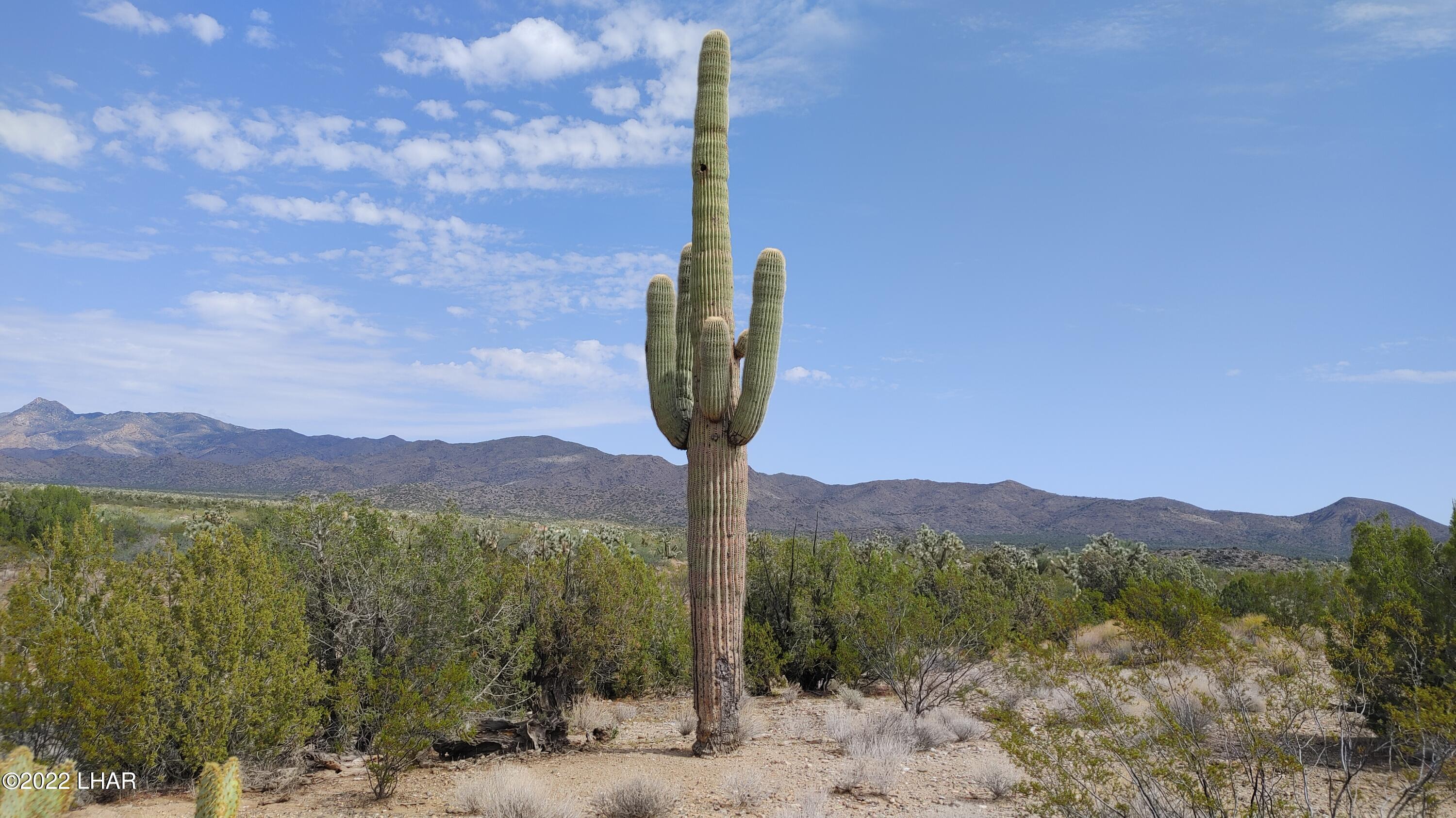 2686 South Well Road Yucca, AZ 86438 - Photo 6 of 26 Higher elevation for scenic views