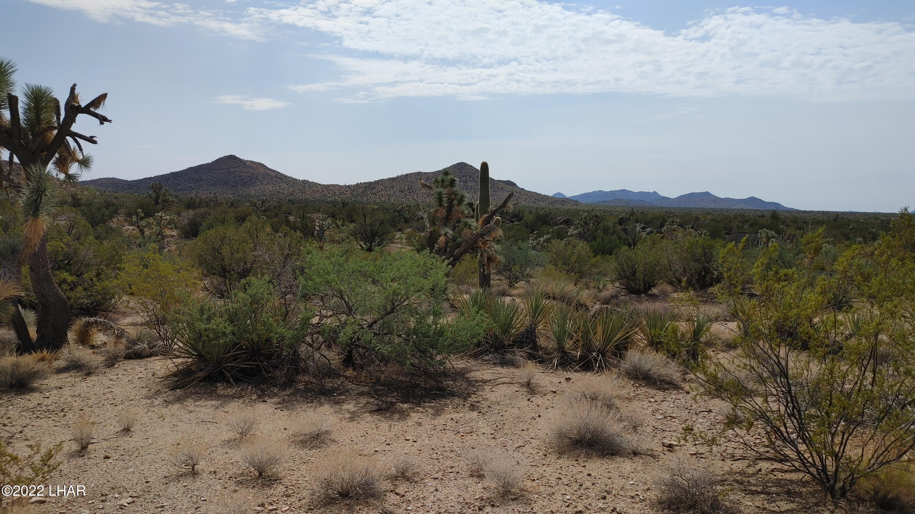 2686 South Well Road Yucca, AZ 86438 - Photo 7 of 26 0927211102_HDR