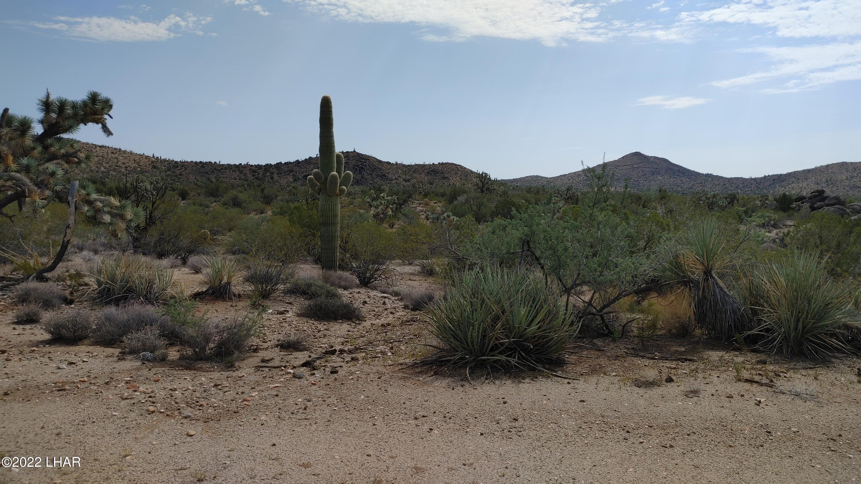 2686 South Well Road Yucca, AZ 86438 - Photo 8 of 26 0927211102a_HDR