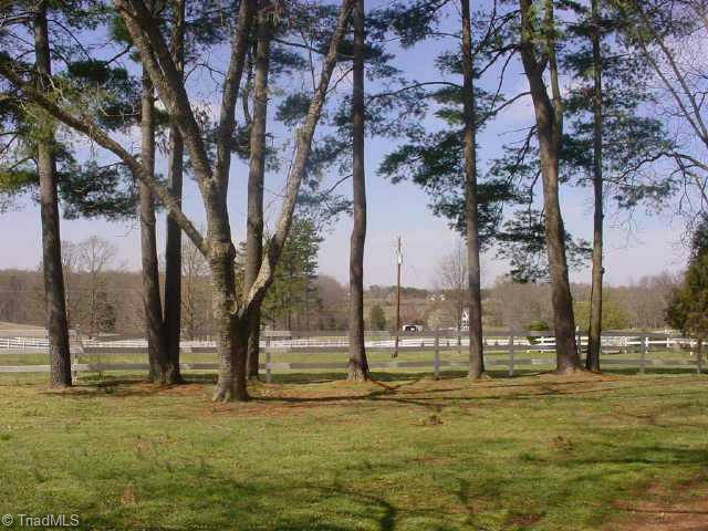 4110 Transou Road Pfafftown, NC 27040 - Photo 3 of 9 Other.