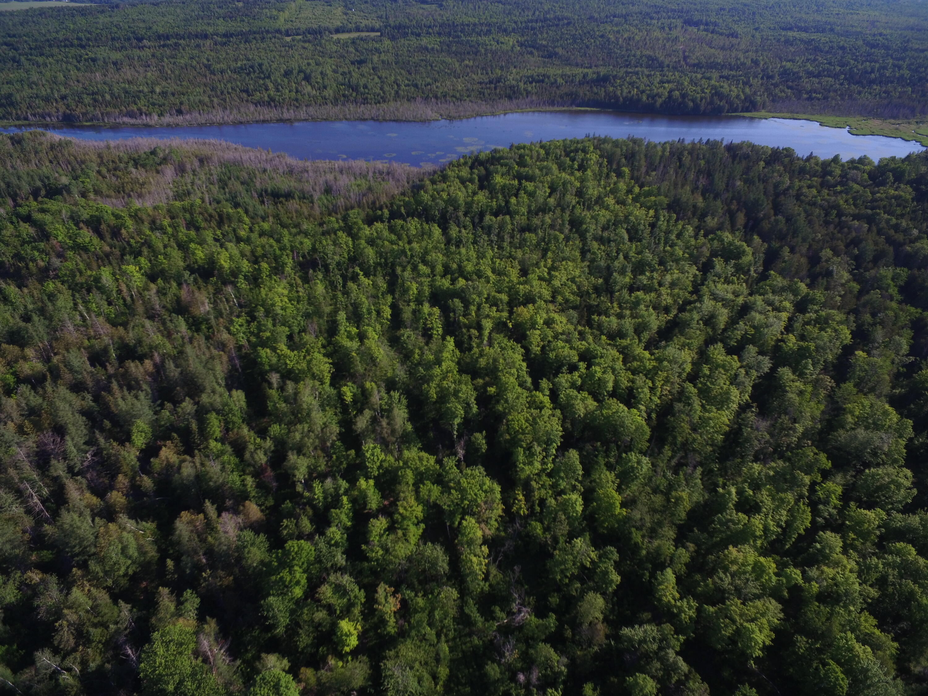 7 Map Road Oakfield, ME 04763 - Photo 15 of 27 DJI_0410