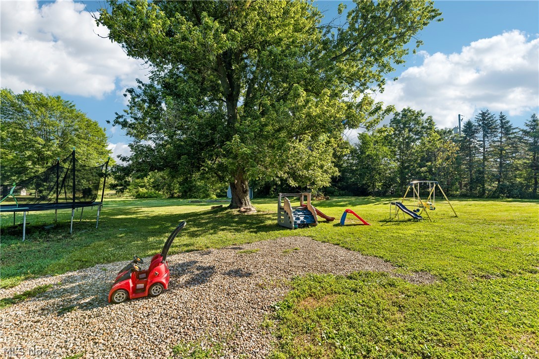 6711 Norwalk Road Medina, OH 44256 - Photo 37 of 46 Large back yard play area