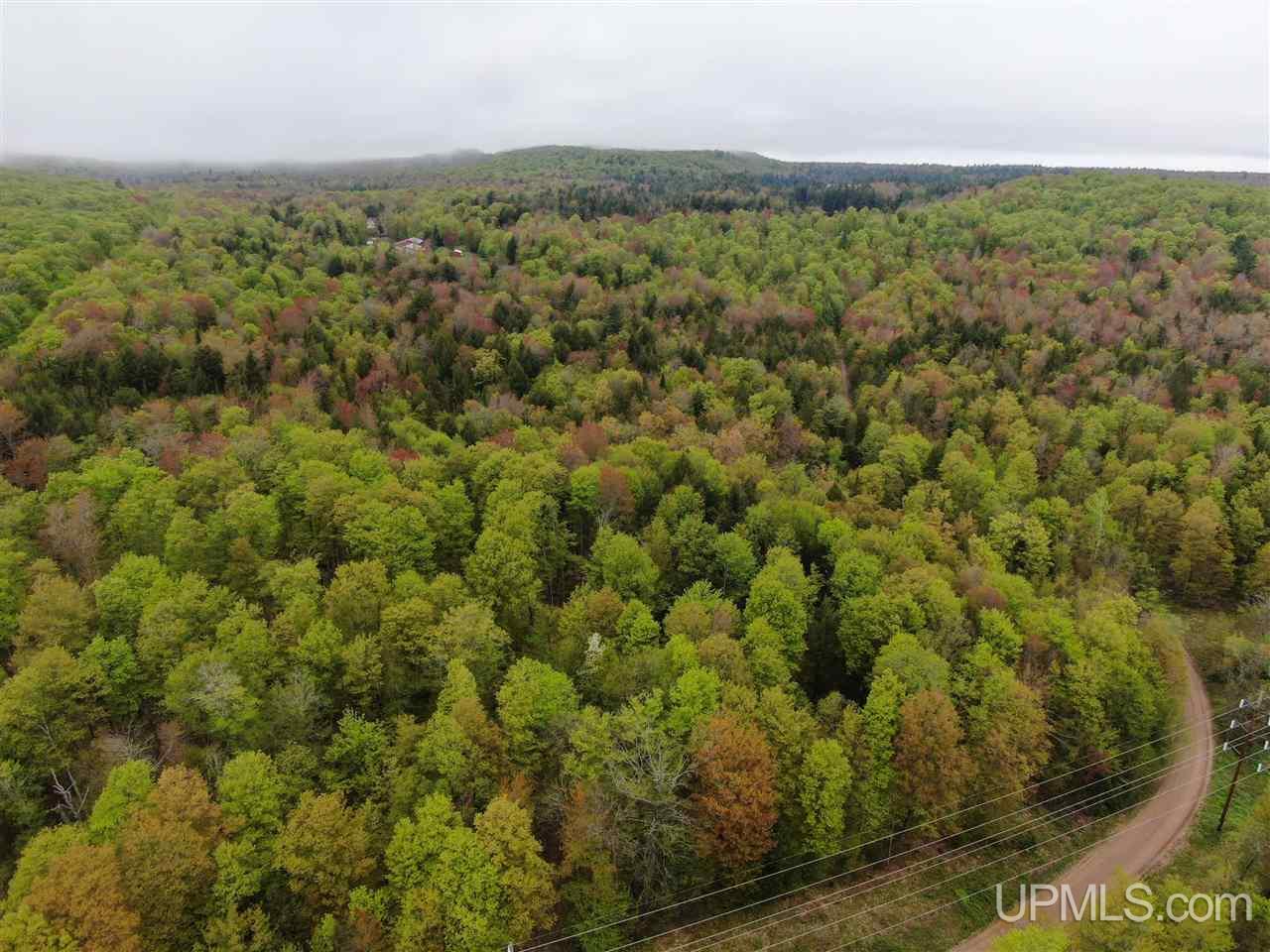 0 County Road 577 Road, Unit ANNA RIVER RDP Munising, MI 49862 - Photo 5 of 26