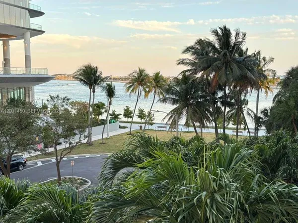 a view of a yard with palm tree