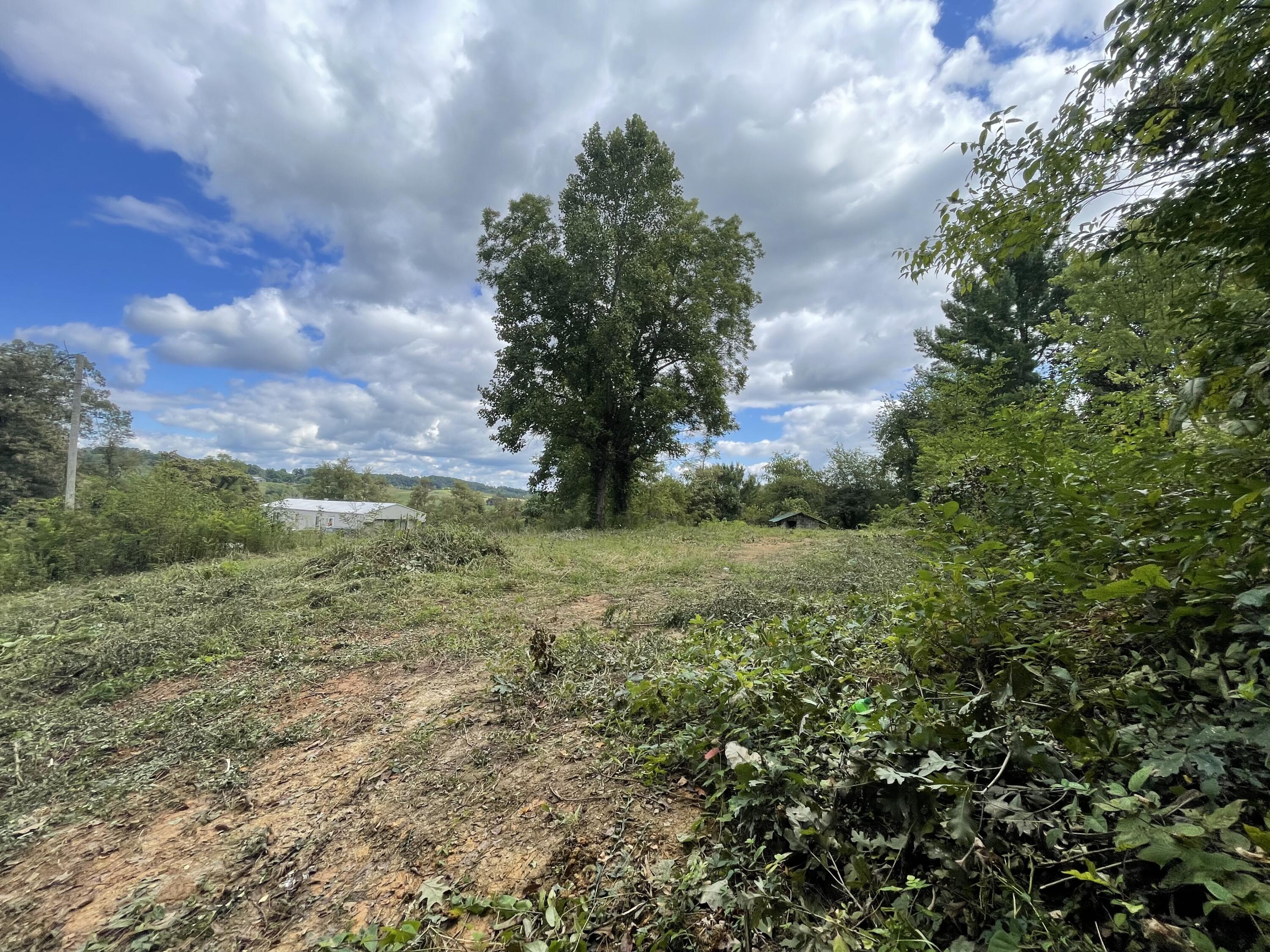 2029 Whirlwind Road Greeneville, TN 37743 - Photo 12 of 16 180 Degrees of views!