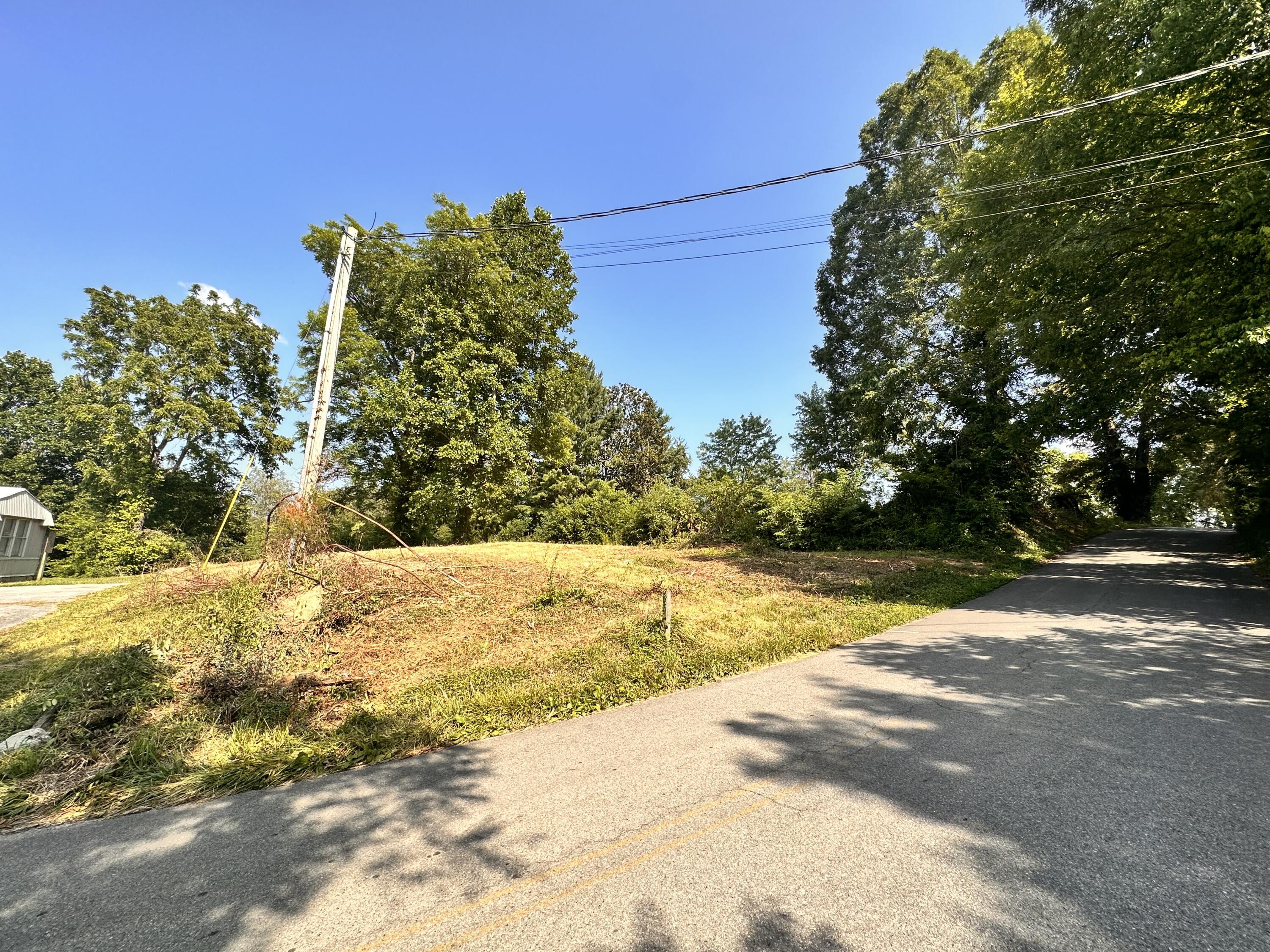 2029 Whirlwind Road Greeneville, TN 37743 - Photo 13 of 16 Road view.