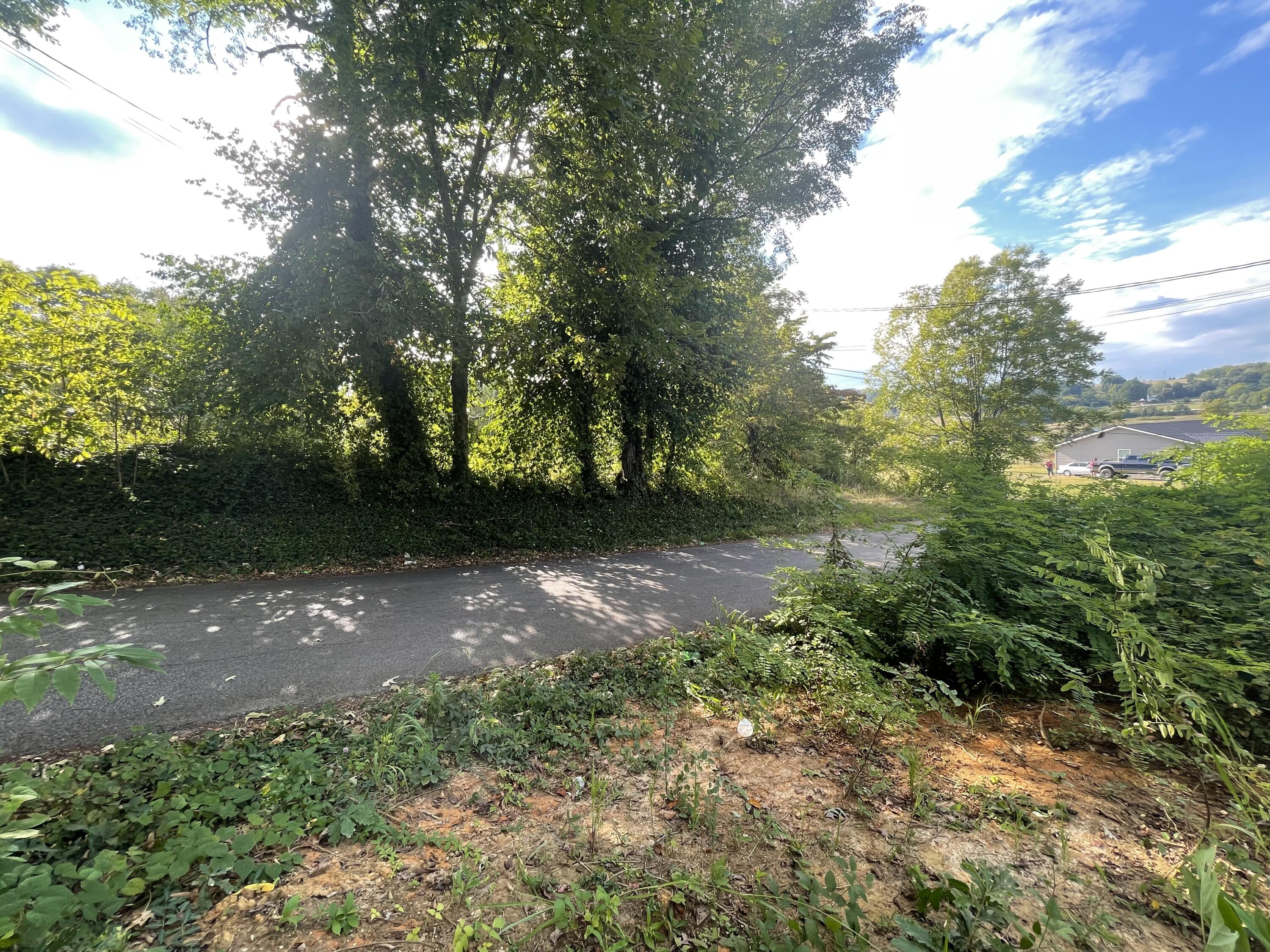 2029 Whirlwind Road Greeneville, TN 37743 - Photo 14 of 16 Private residential road!