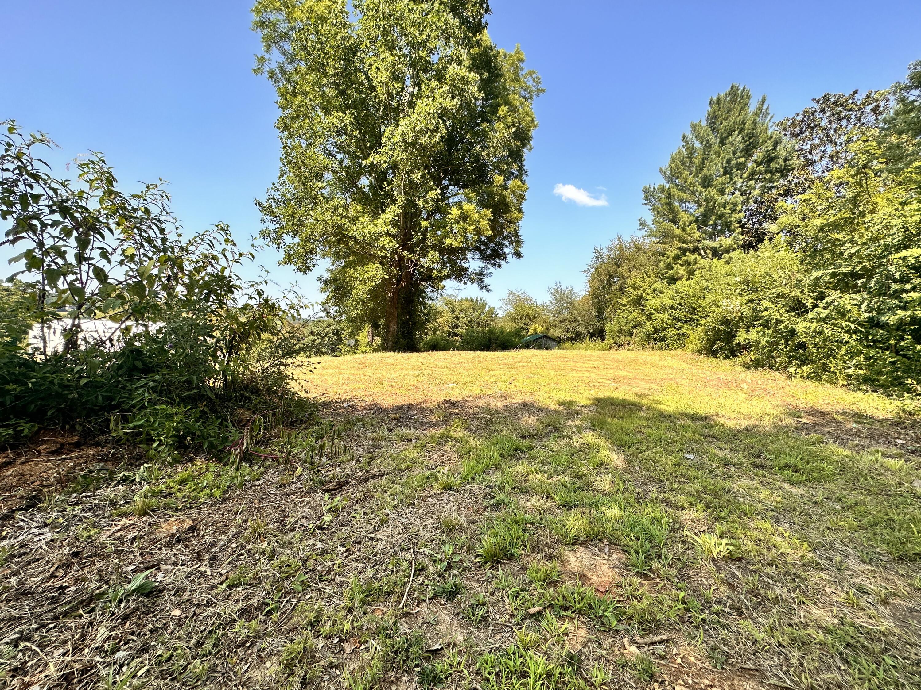 2029 Whirlwind Road Greeneville, TN 37743 - Photo 2 of 16 Build site!