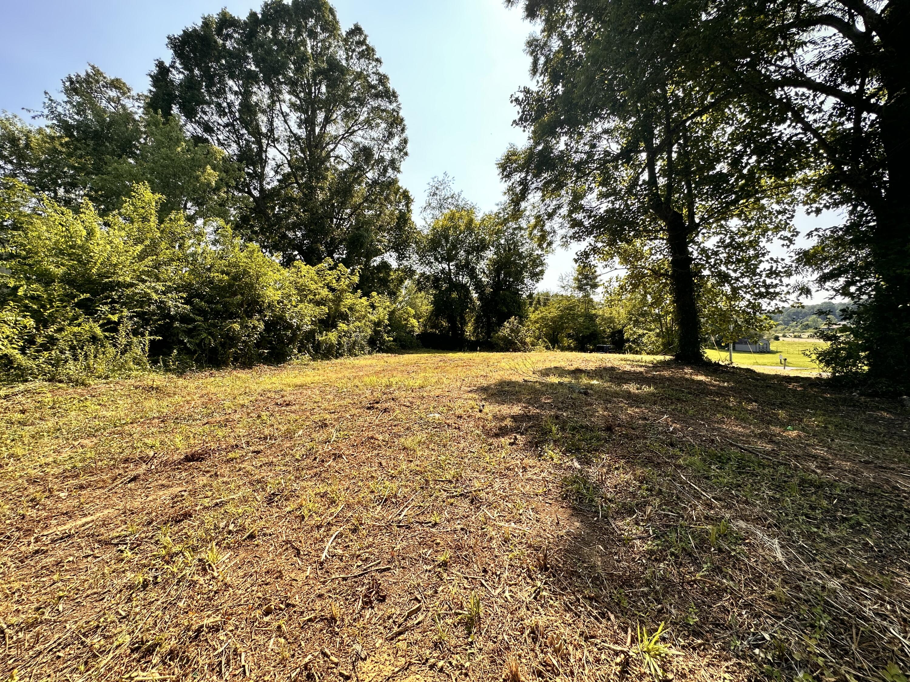 2029 Whirlwind Road Greeneville, TN 37743 - Photo 3 of 16 Level land.