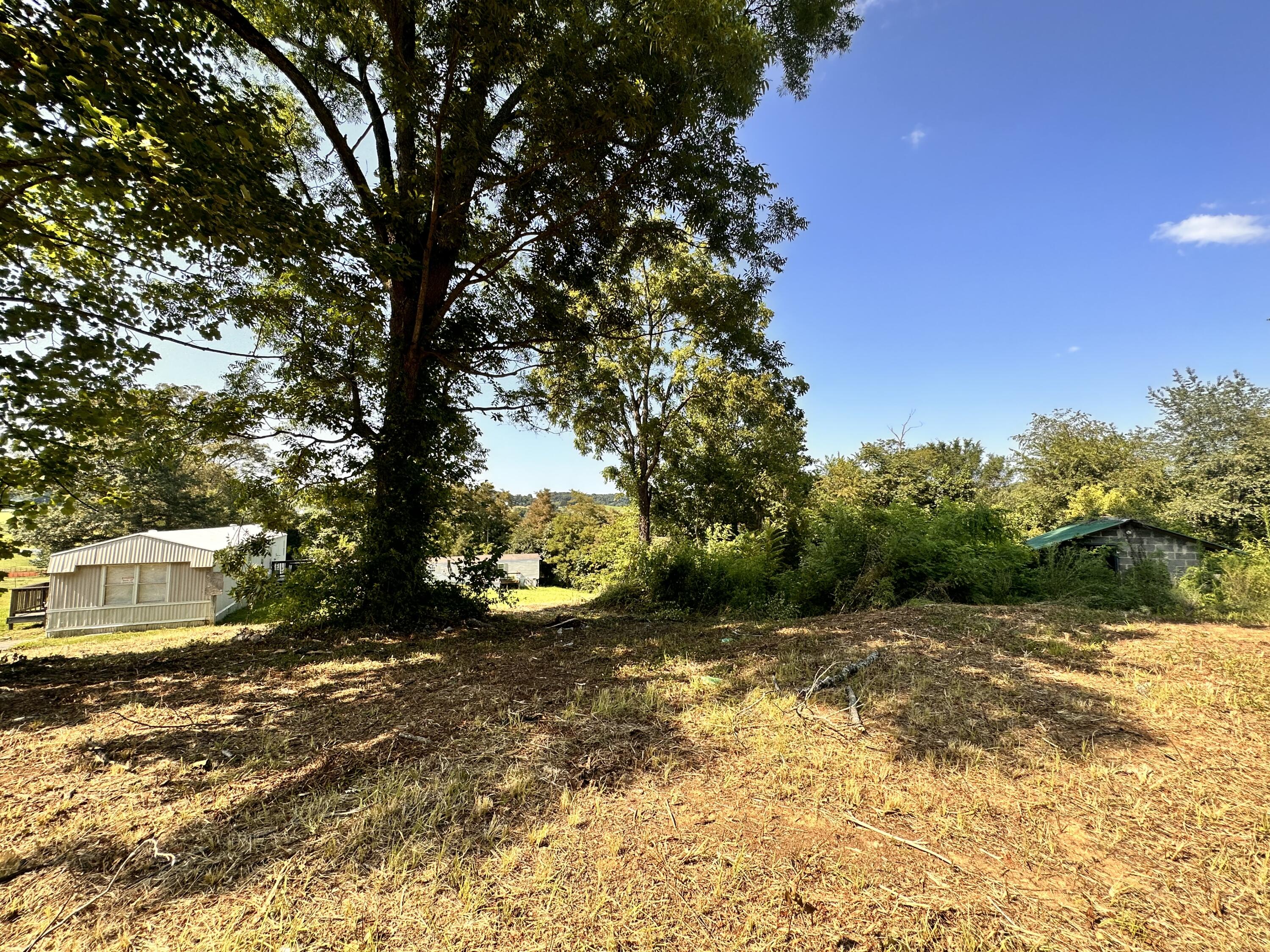 2029 Whirlwind Road Greeneville, TN 37743 - Photo 4 of 16 Mature landscaping!