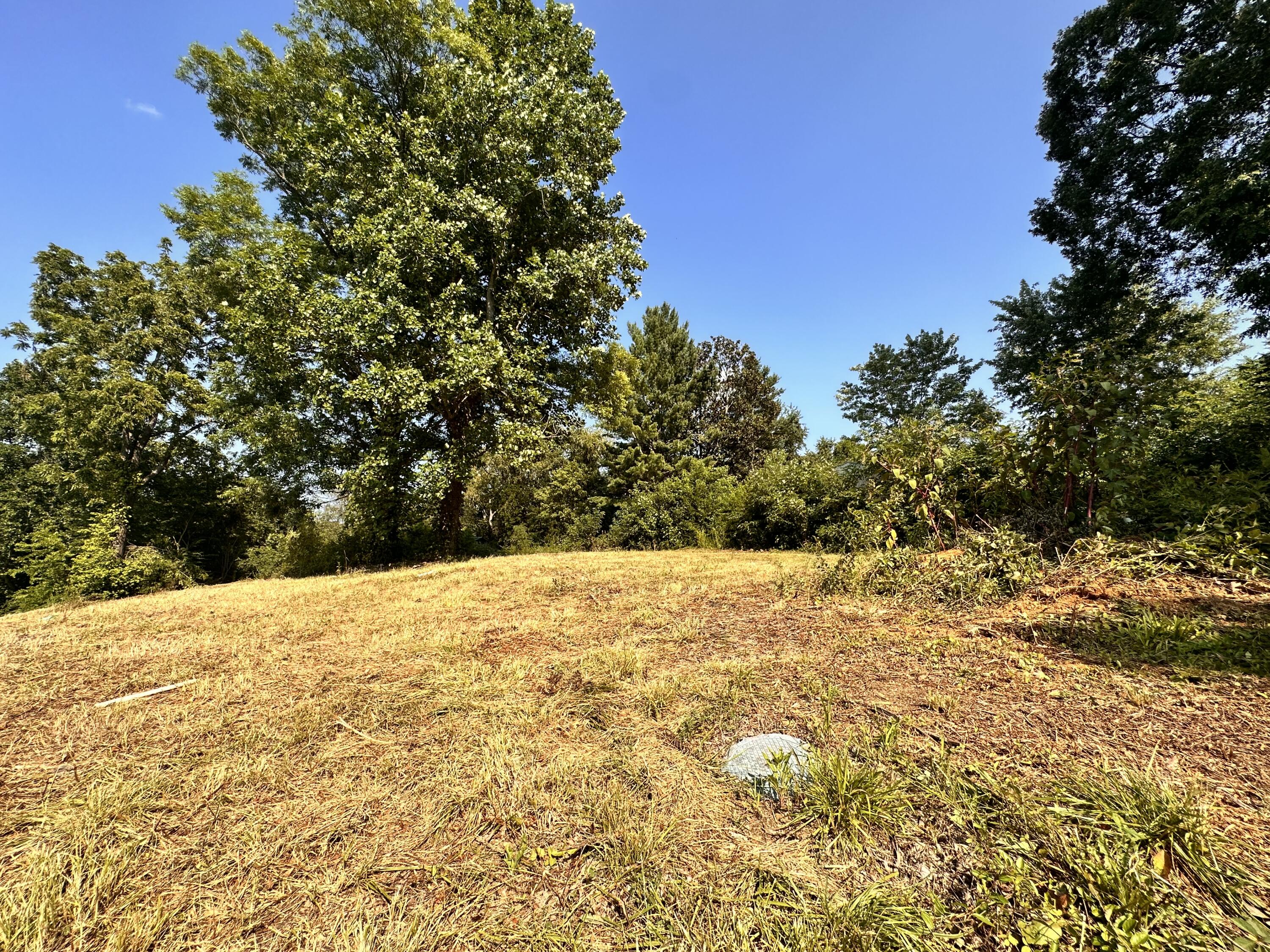 2029 Whirlwind Road Greeneville, TN 37743 - Photo 5 of 16 Water meter on property.