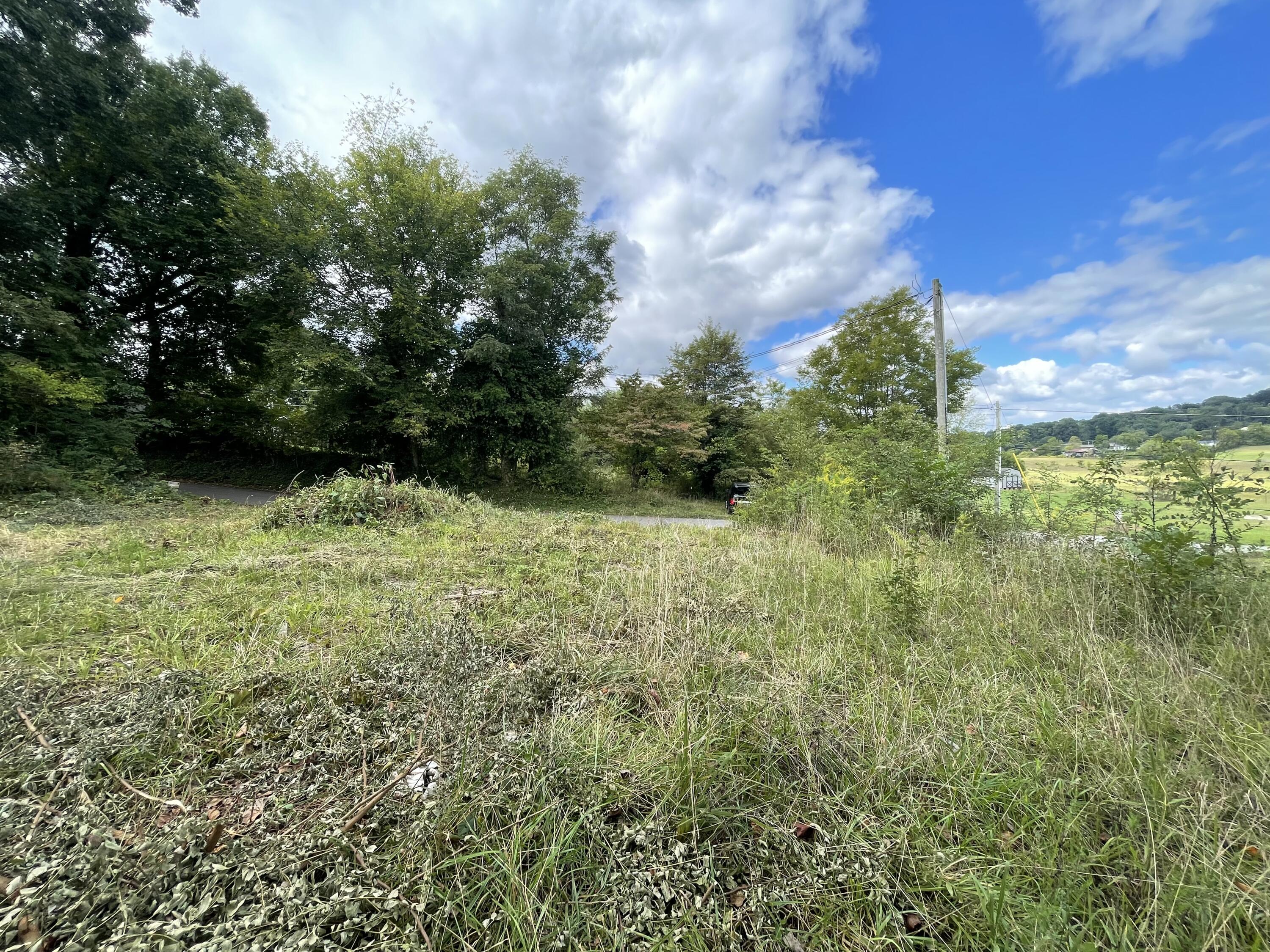 2029 Whirlwind Road Greeneville, TN 37743 - Photo 6 of 16 Country Living!