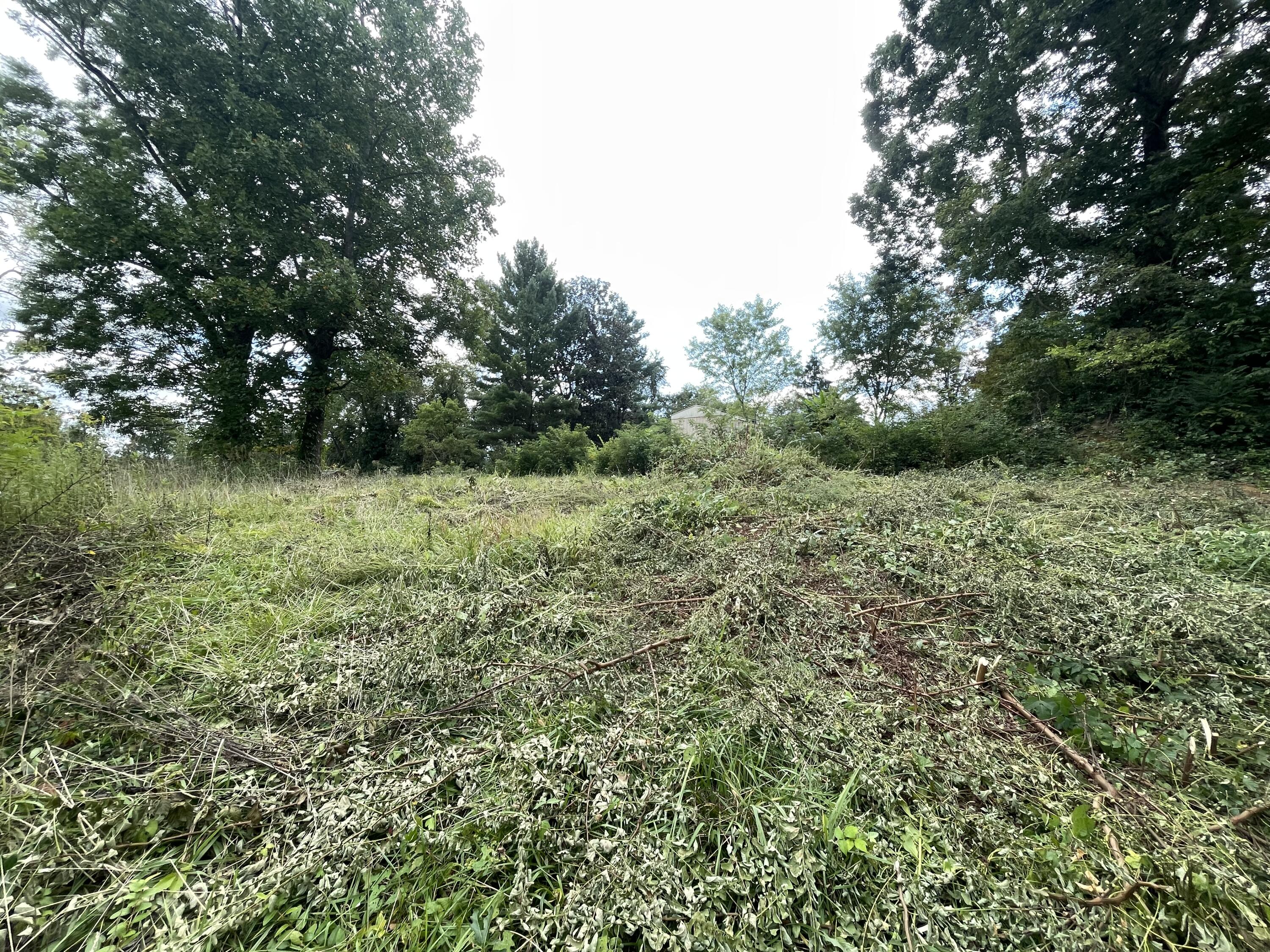 2029 Whirlwind Road Greeneville, TN 37743 - Photo 7 of 16 Mostly level!
