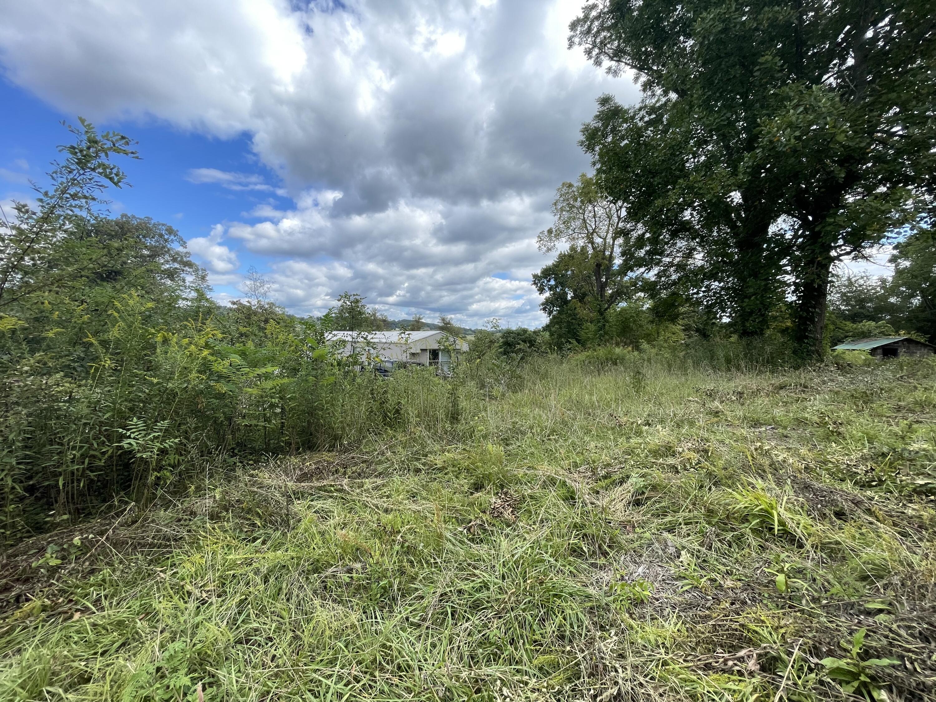 2029 Whirlwind Road Greeneville, TN 37743 - Photo 8 of 16 Moderate Slope!