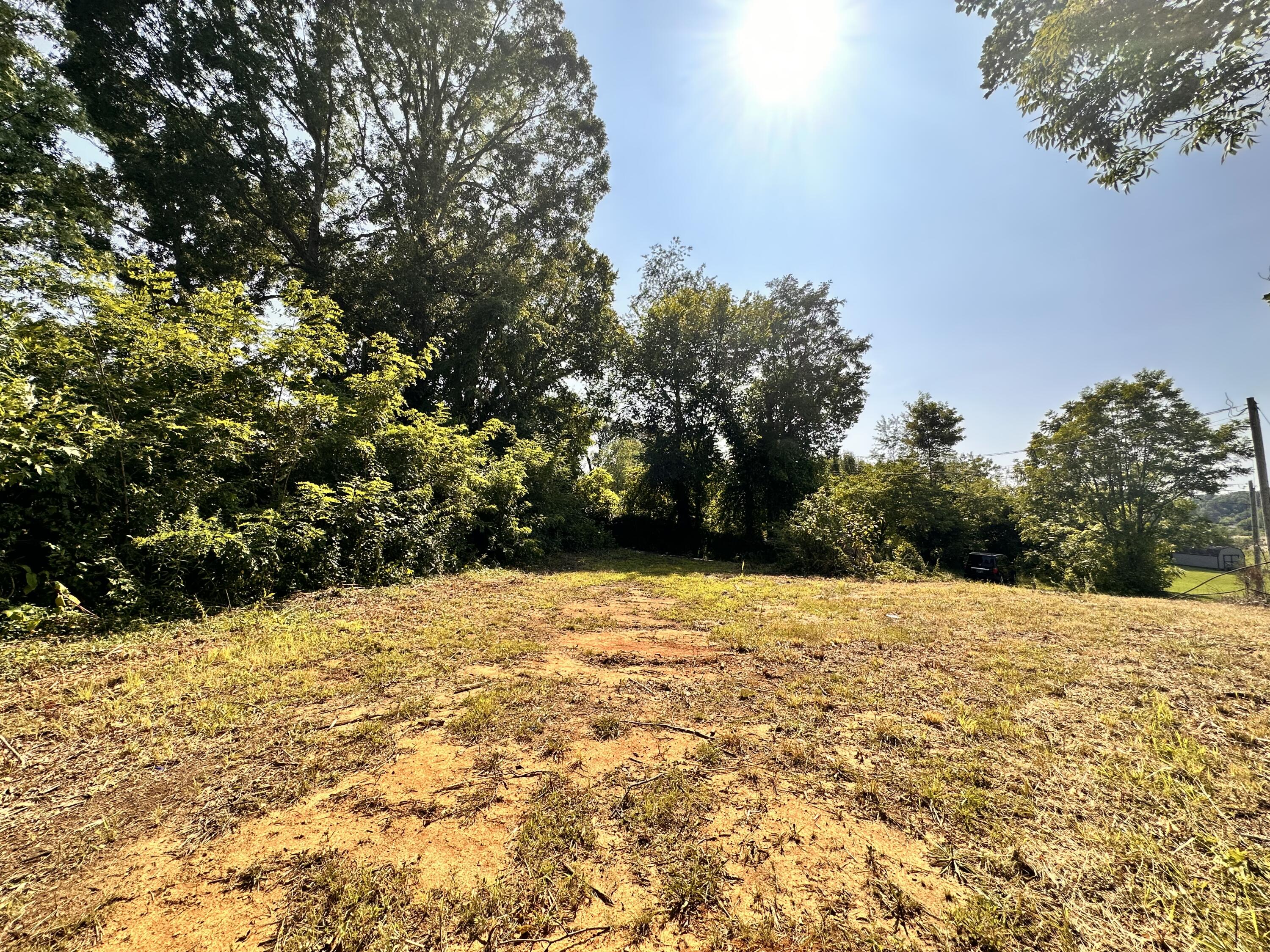 2029 Whirlwind Road Greeneville, TN 37743 - Photo 9 of 16 Just bushhogged!