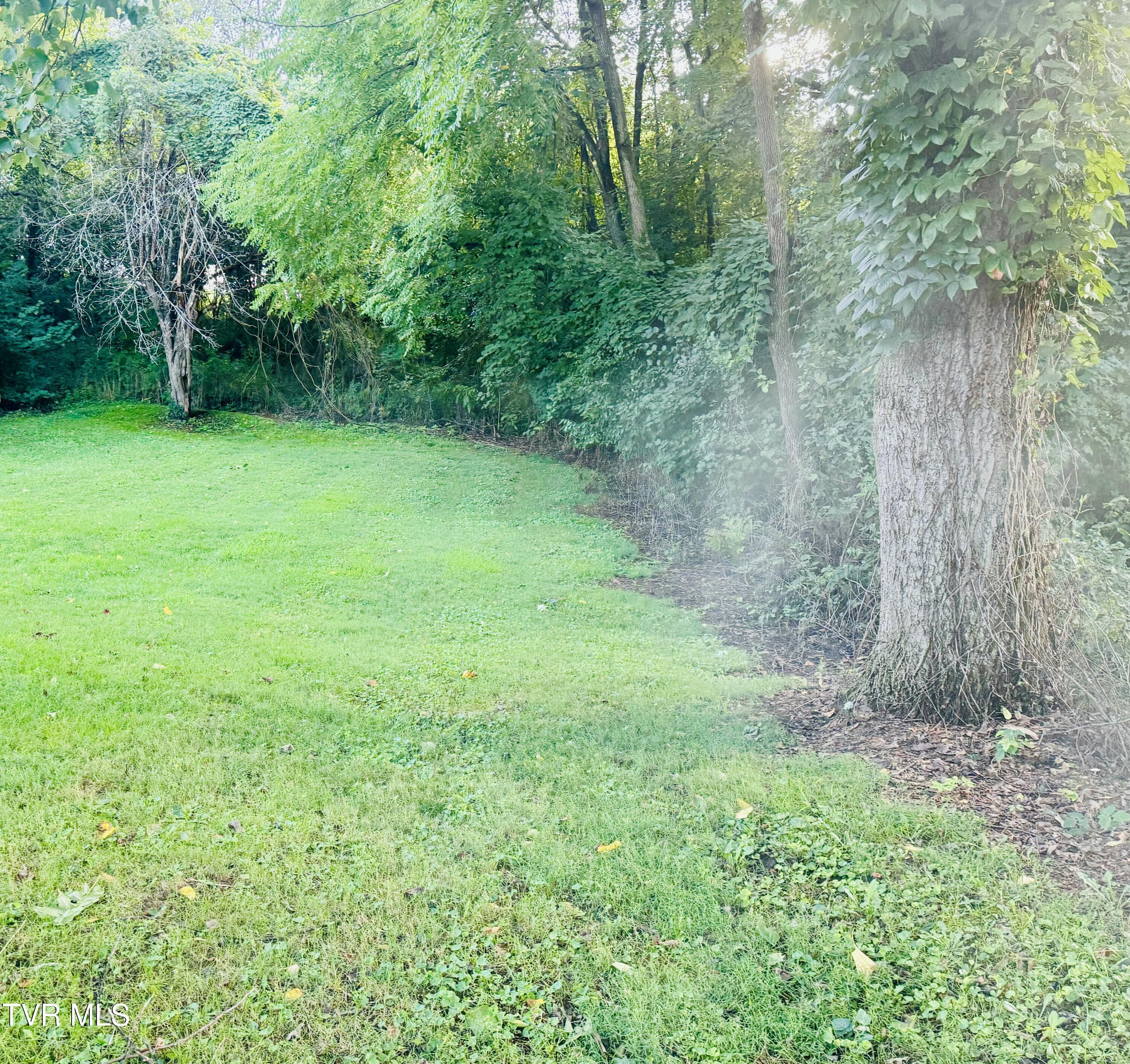 213 Campbell Street Southwest Abingdon, VA 24210 - Photo 26 of 28 IMG_0249