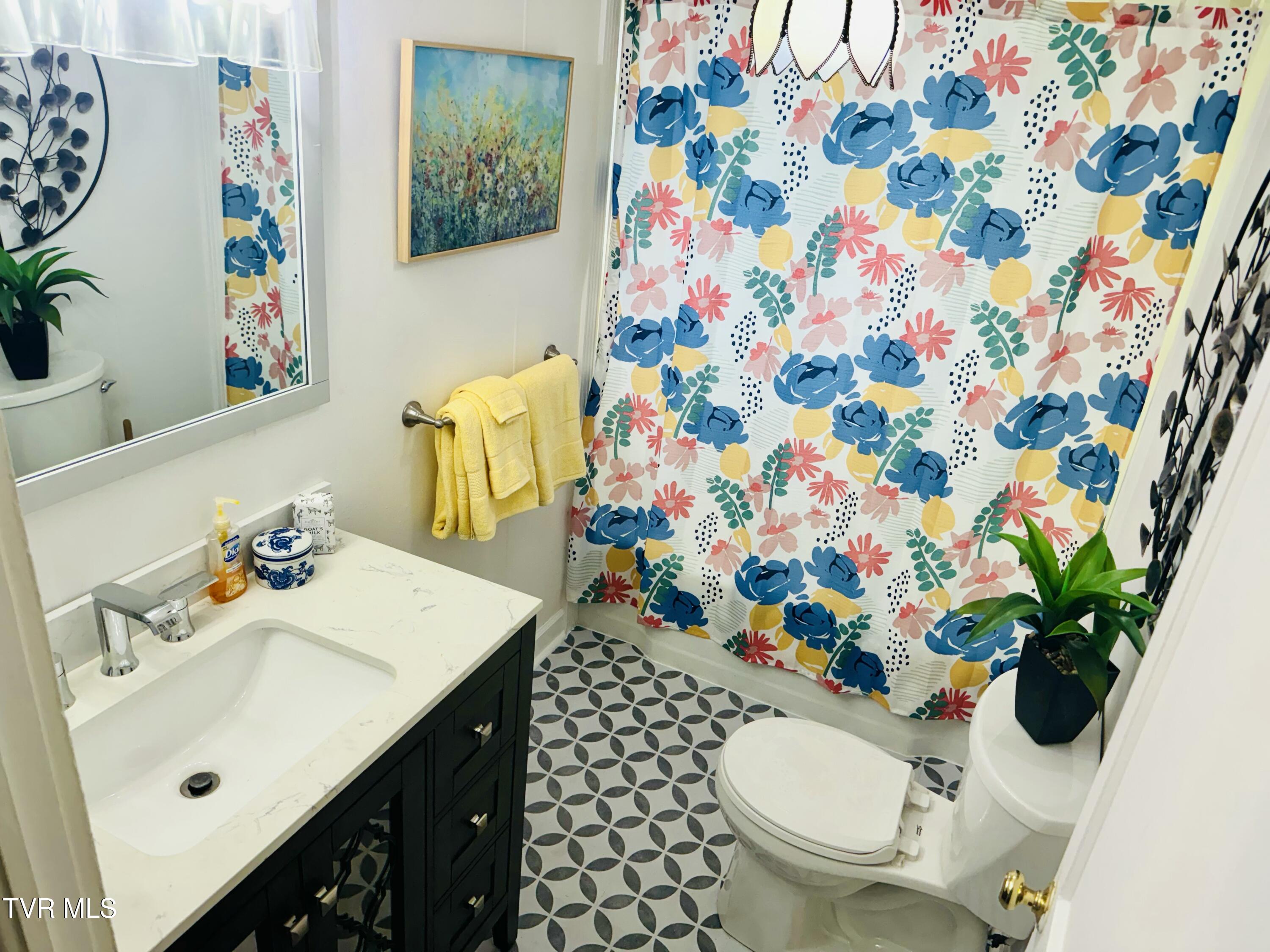 213 Campbell Street Southwest Abingdon, VA 24210 - Photo 10 of 28 IMG_0320