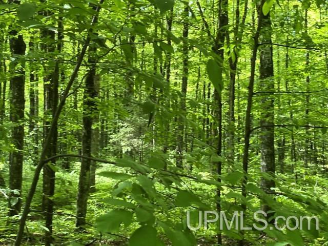 40-acres New DNR Road Crystal Falls, MI 49920 - Photo 25 of 46