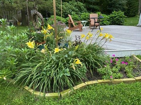 5 Chickadee Lane Centerville, MA 02632 - Photo 3 of 22 a view of a backyard with plants and chairs