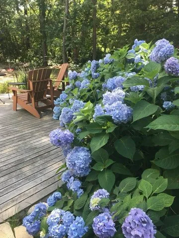 $599,000 | 5 Chickadee Lane, Centerville, MA 02632