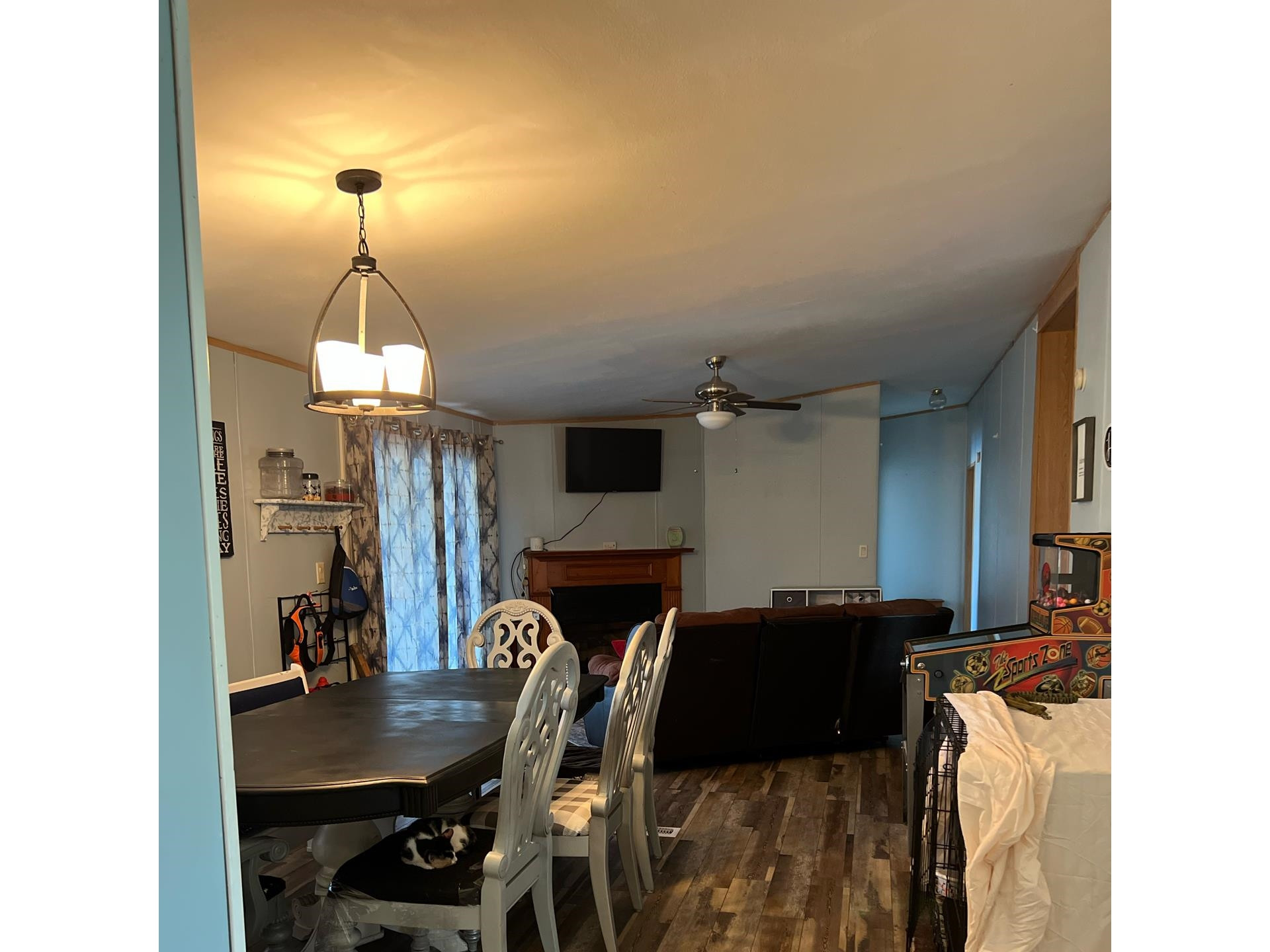 4516 North Spring Branch Road Dunn, NC 28334 - Photo 19 of 21 Den/Family/Great Room