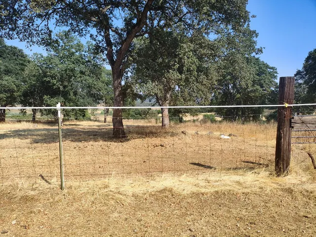 a view of ocean view with large trees