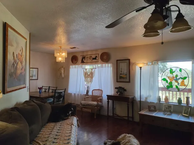 a living room with furniture and wall painting