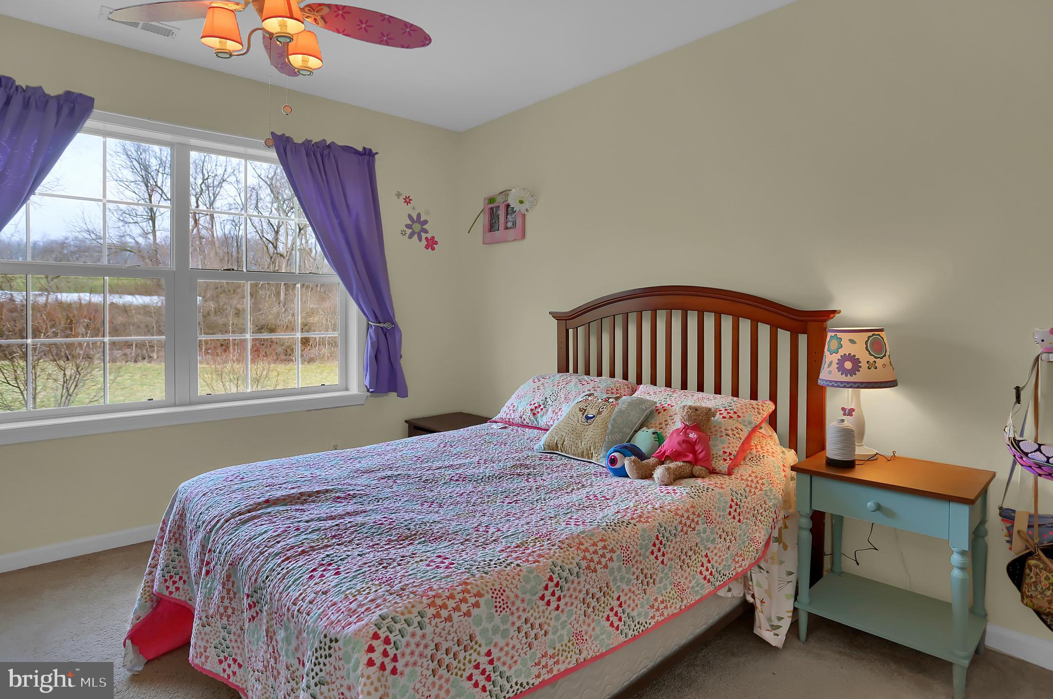 4717 Walters Hatchery Road Spring Grove, PA 17362 - Photo 33 of 54