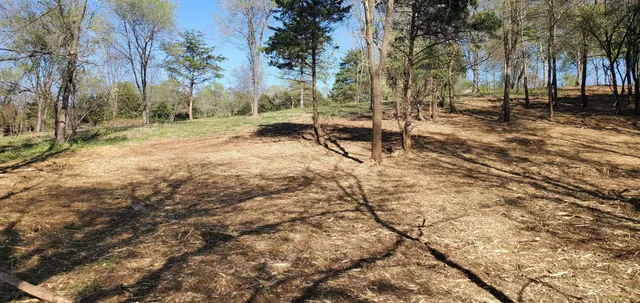 a view of outdoor space with deck and trees
