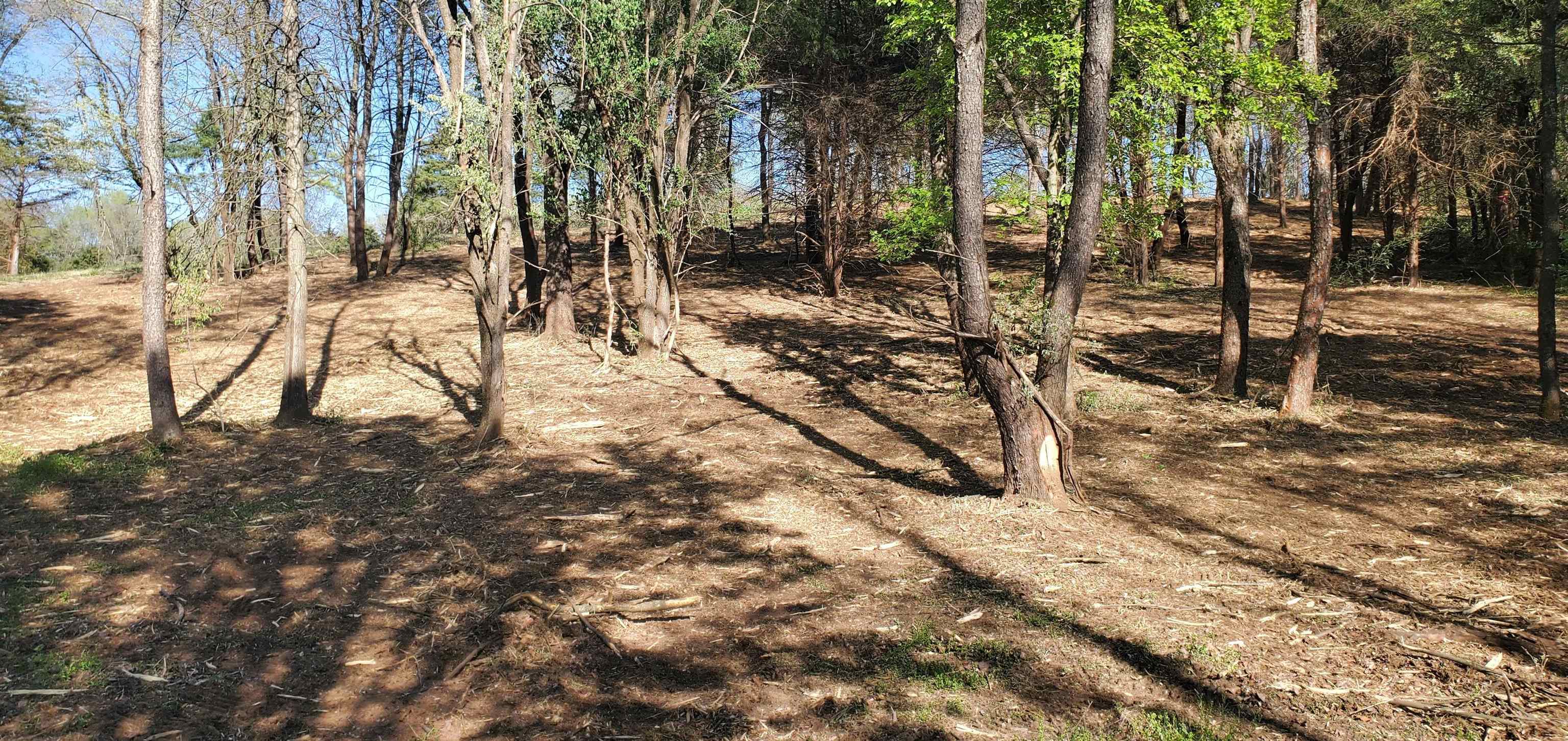 12-crown Ridge Berry Farm Road Verona, VA 24482 - Photo 16 of 47 a view of outdoor space with lots of trees