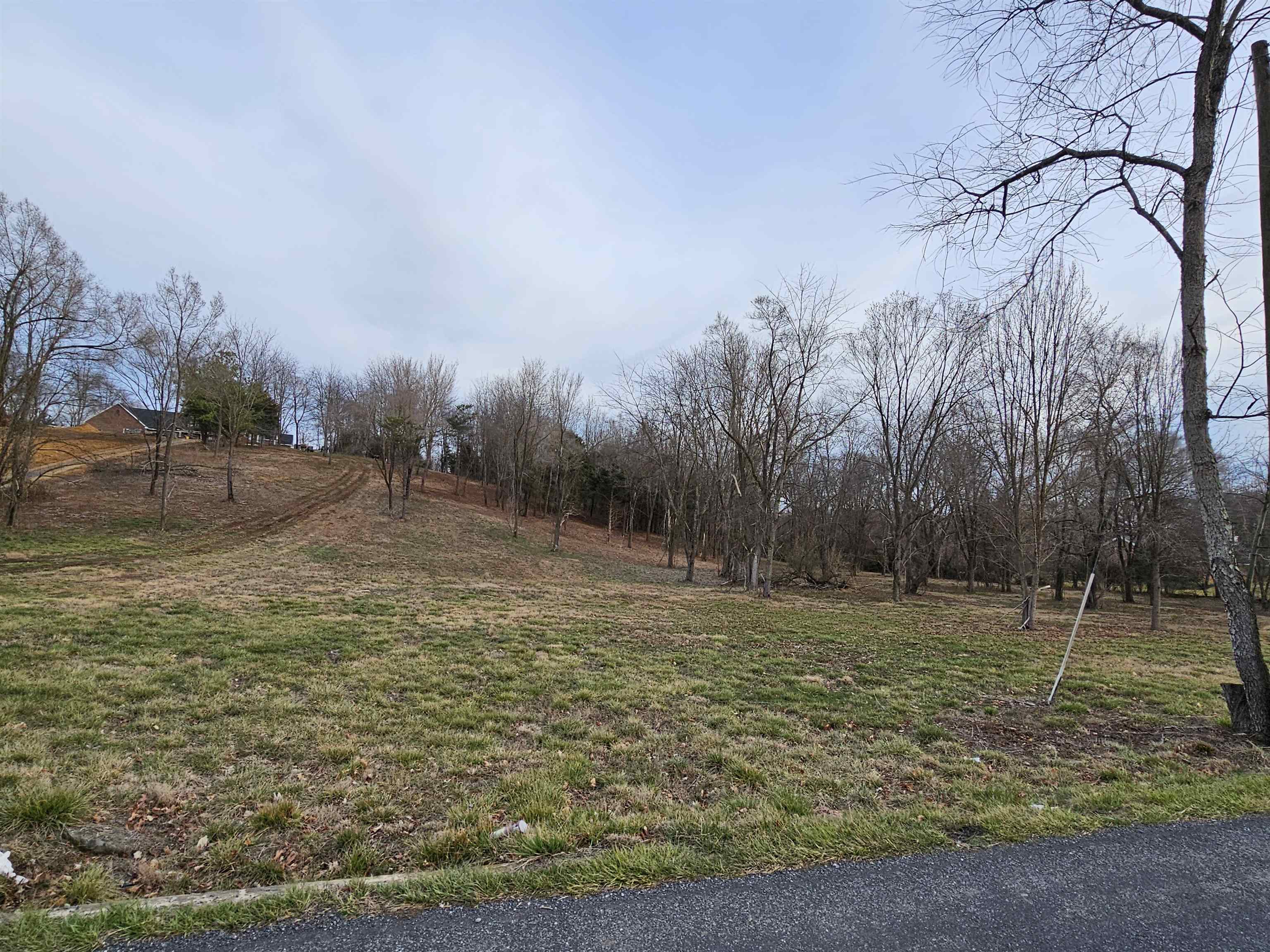 12-crown Ridge Berry Farm Road Verona, VA 24482 - Photo 2 of 47 a view of outdoor space with trees