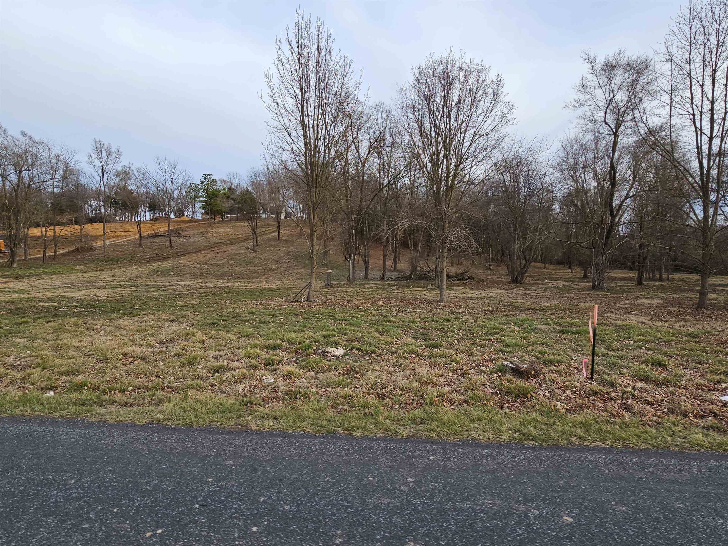 12-crown Ridge Berry Farm Road Verona, VA 24482 - Photo 4 of 47 a view of a field