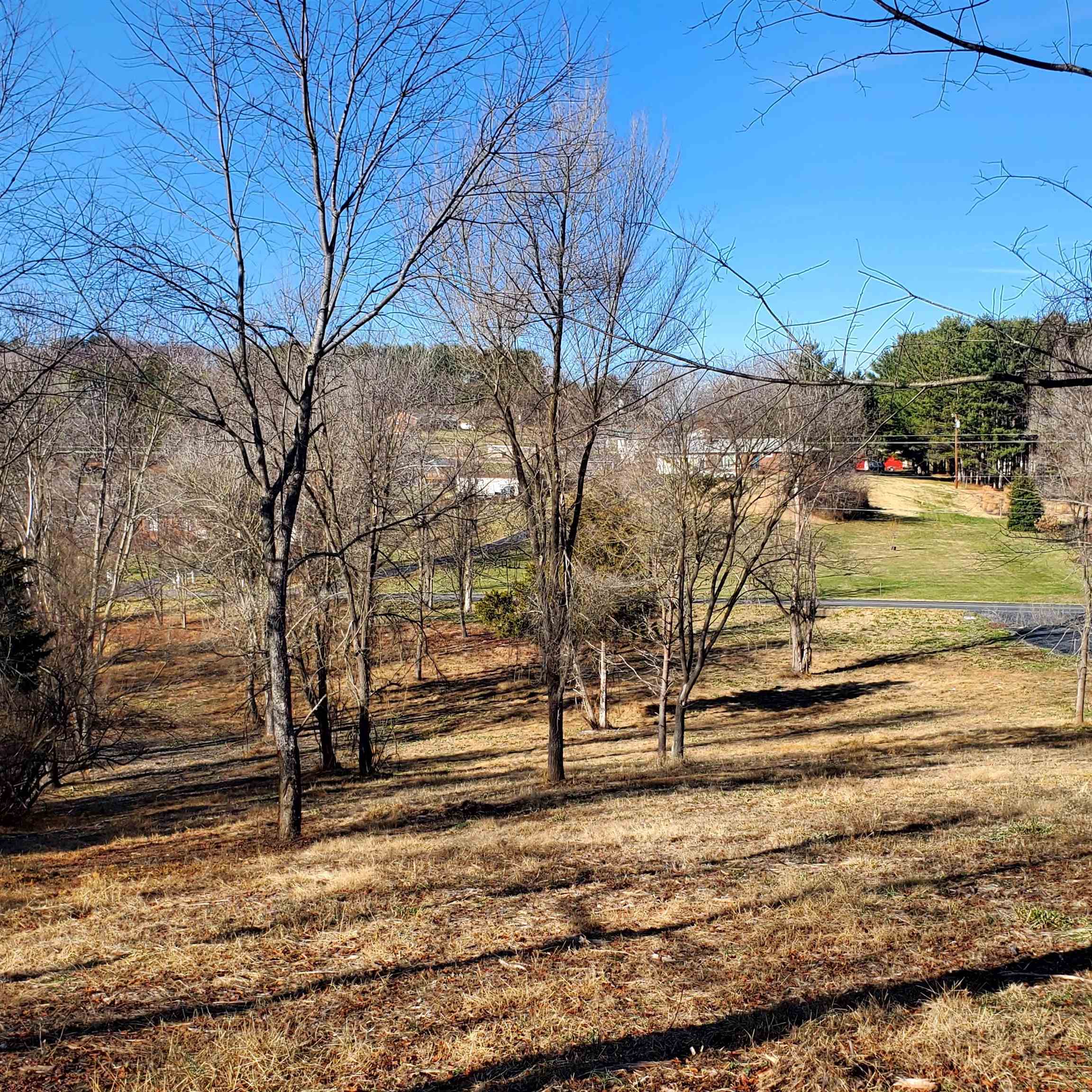 12-crown Ridge Berry Farm Road Verona, VA 24482 - Photo 5 of 47 a view of yard with tree