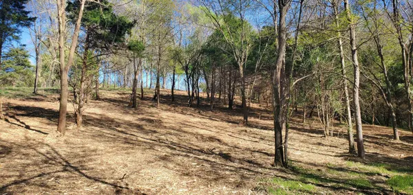 a view of a backyard of the house
